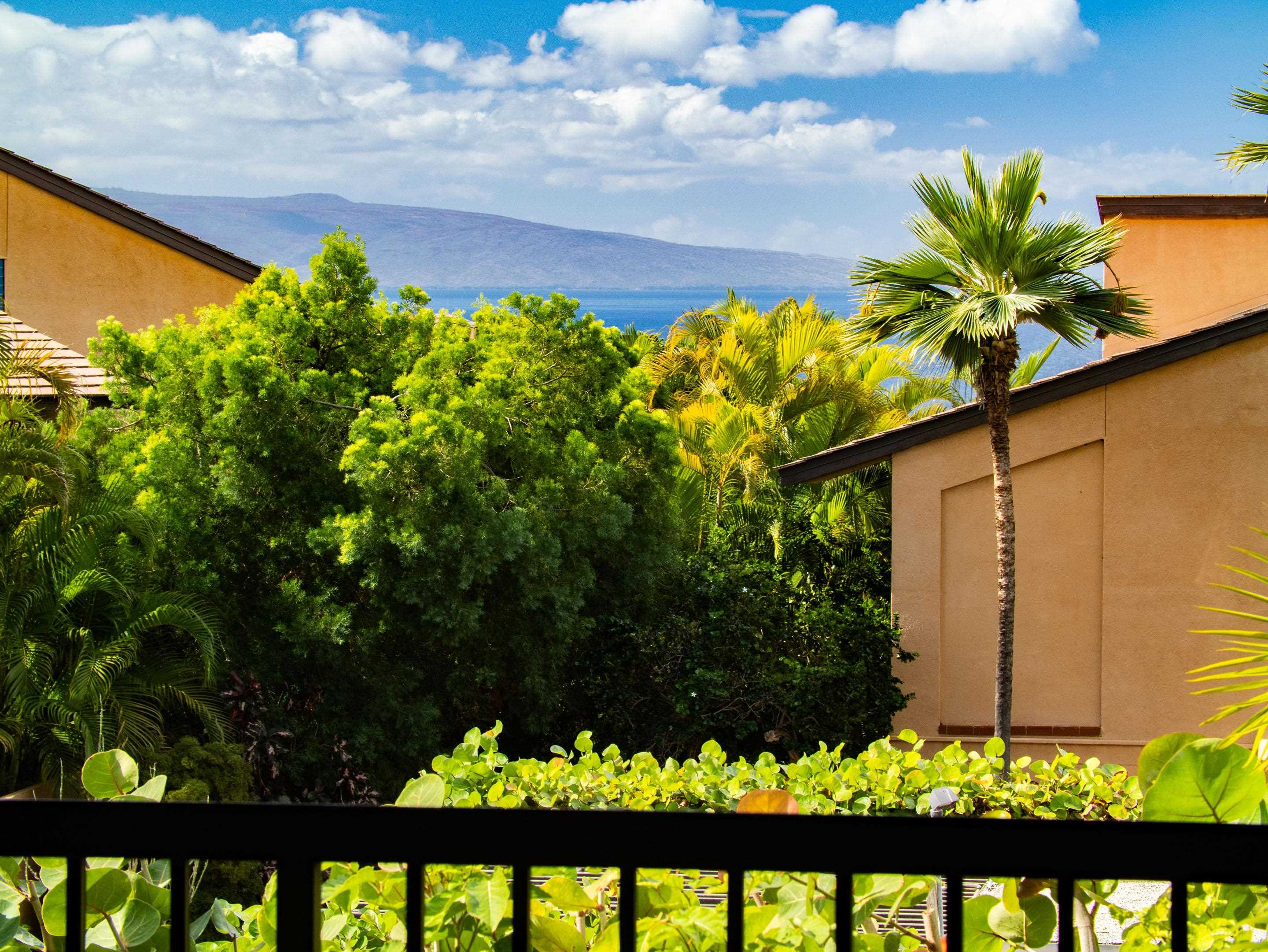 Wailea Ekahi III condo # 36D, Kihei, Hawaii - photo 2 of 50