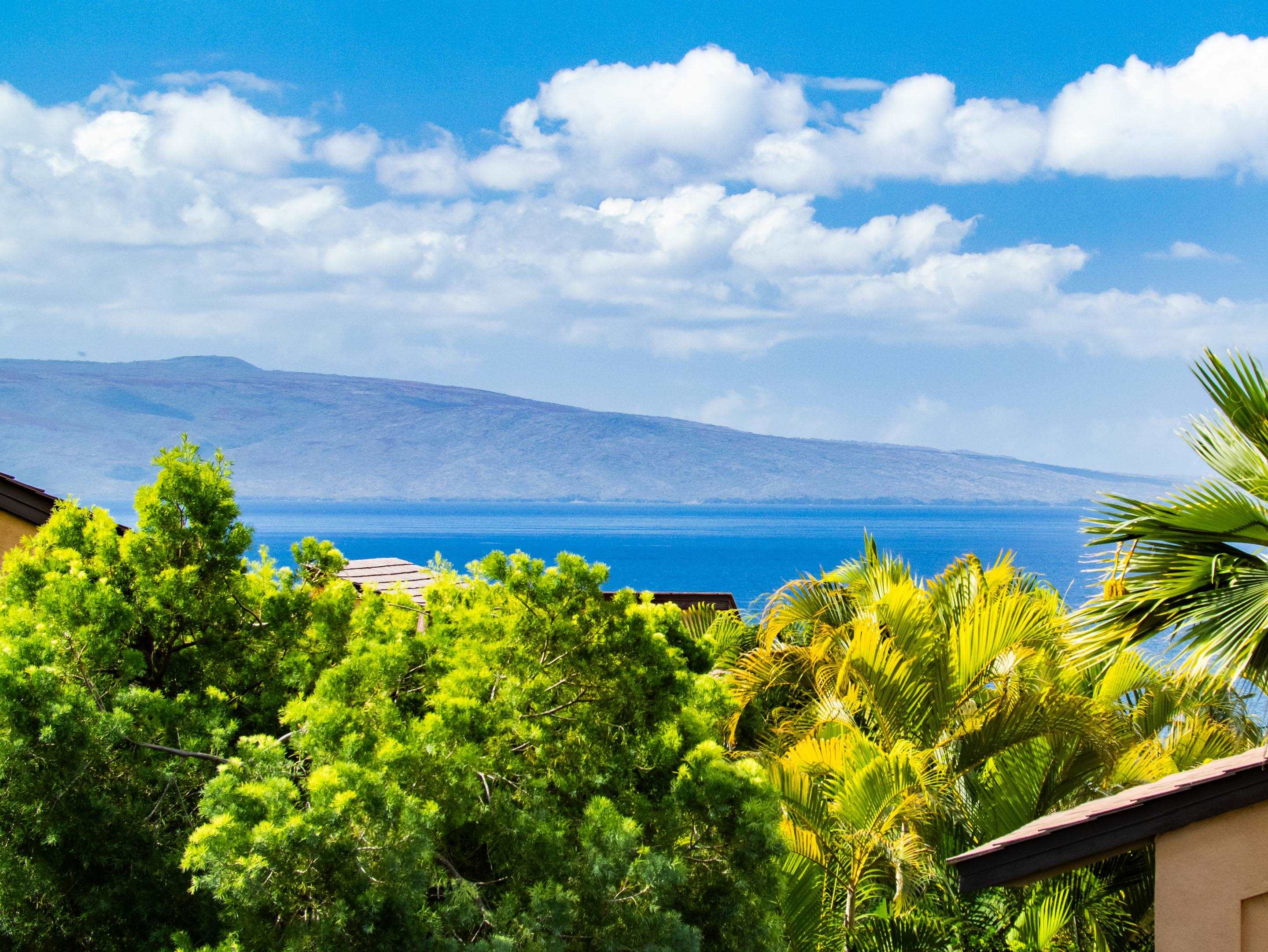 Wailea Ekahi III condo # 36D, Kihei, Hawaii - photo 23 of 50