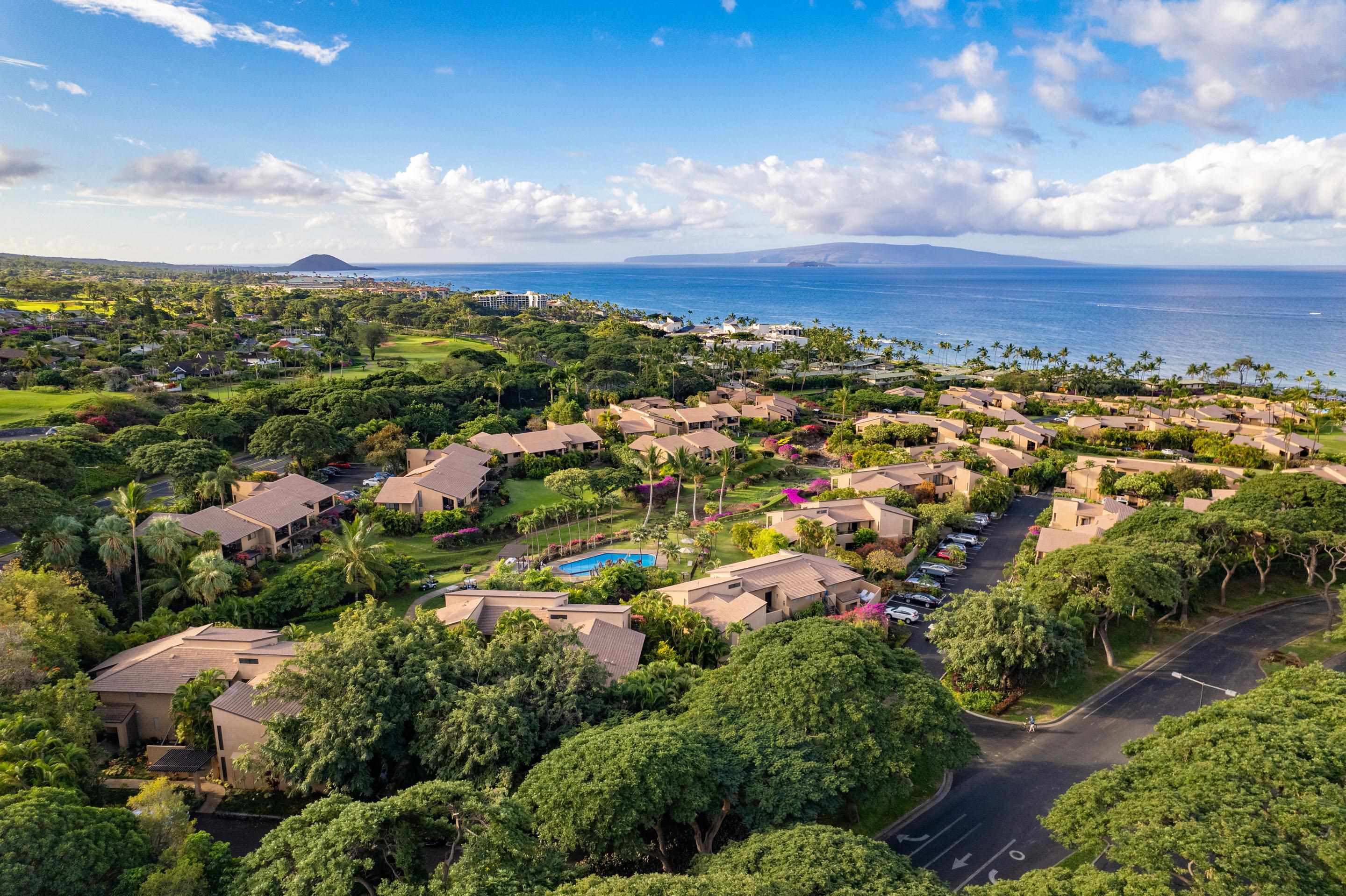 Wailea Ekahi III condo # 36D, Kihei, Hawaii - photo 45 of 50