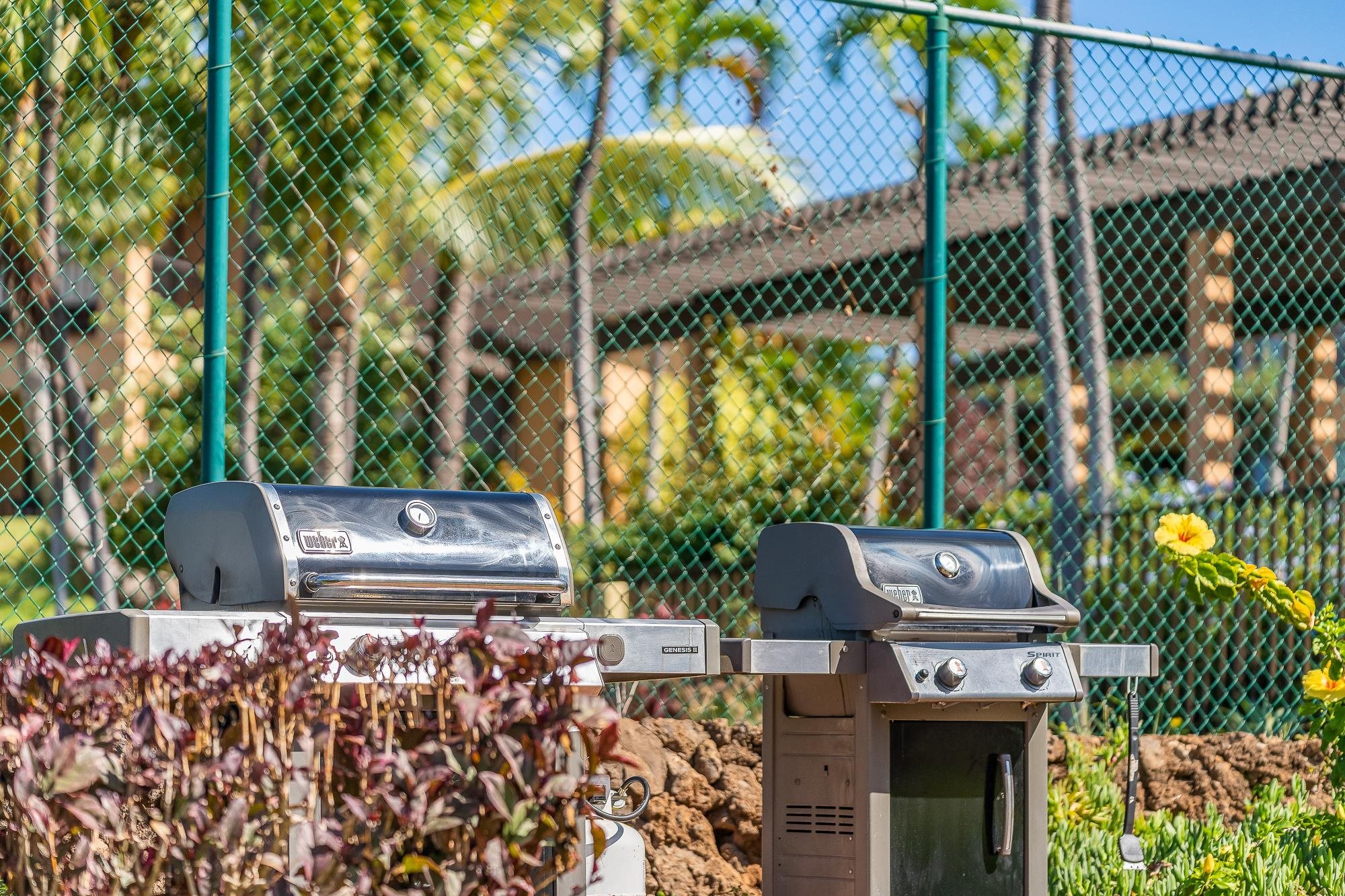 Wailea Ekahi III condo # 37B, Kihei, Hawaii - photo 42 of 47