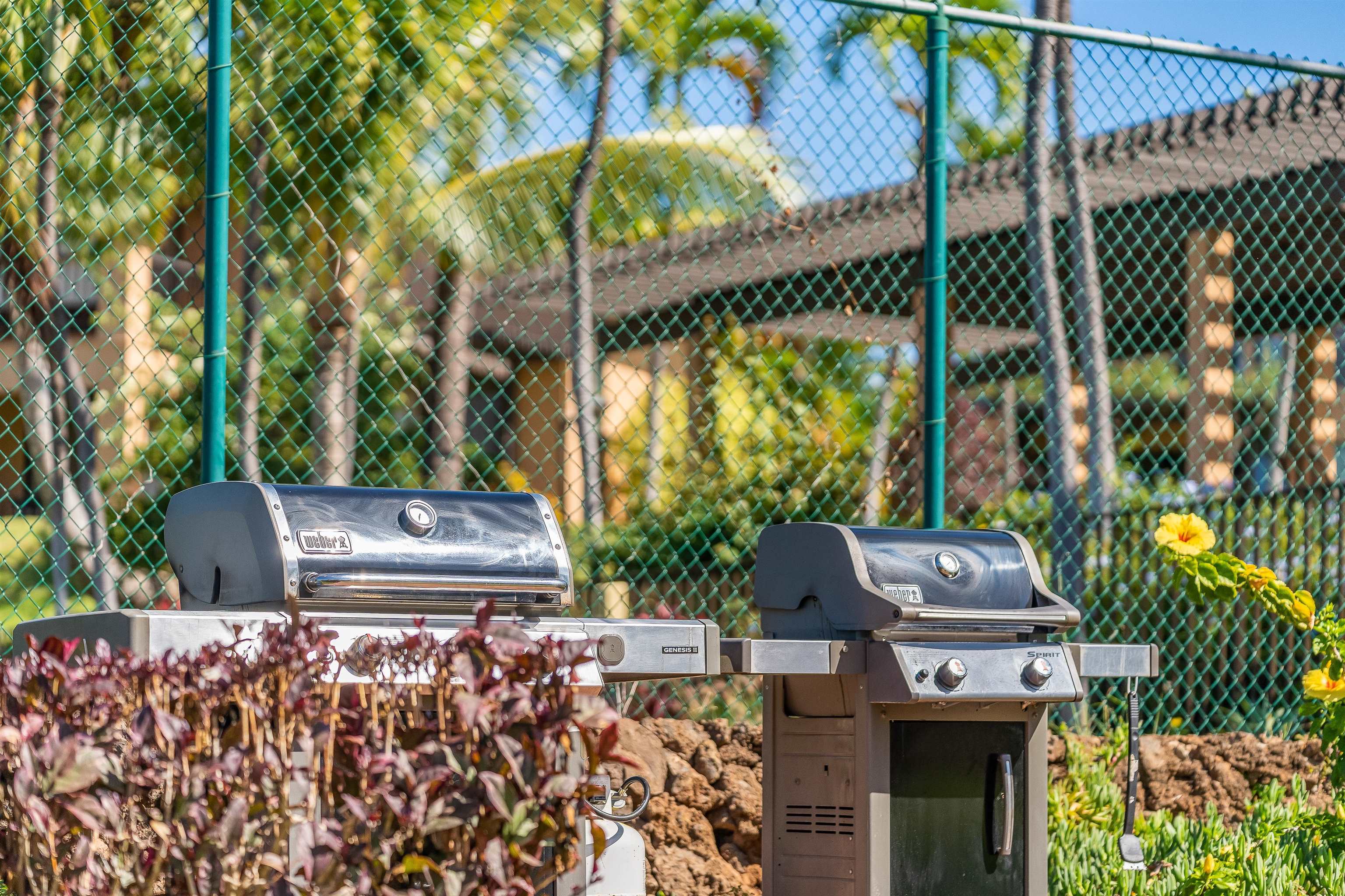 Wailea Ekahi I condo # 37C, Kihei, Hawaii - photo 37 of 50