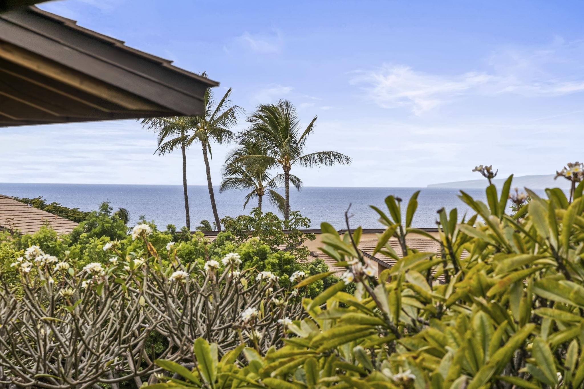 Wailea Ekahi III condo # 37E, Kihei, Hawaii - photo 35 of 44