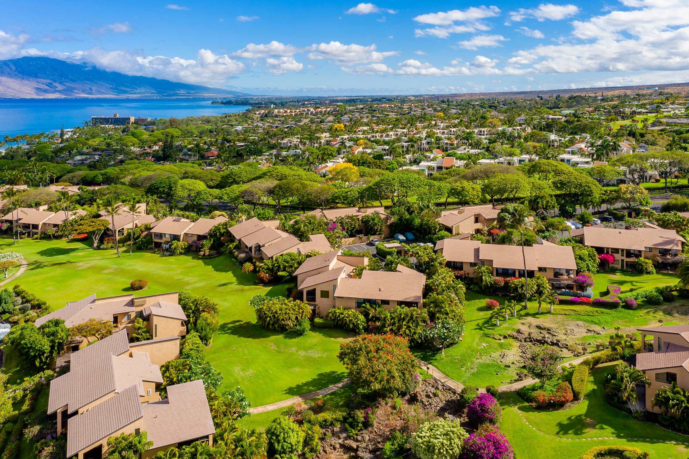 3300 Wailea Alanui Dr Wailea Wailea Ekahi III - photo 24 of 28