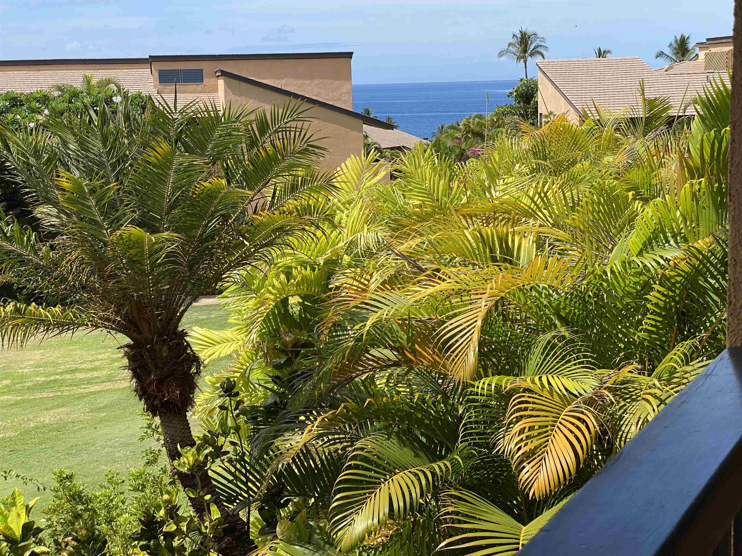 3300 Wailea Alanui Dr Wailea Wailea Ekahi III - photo 9 of 28