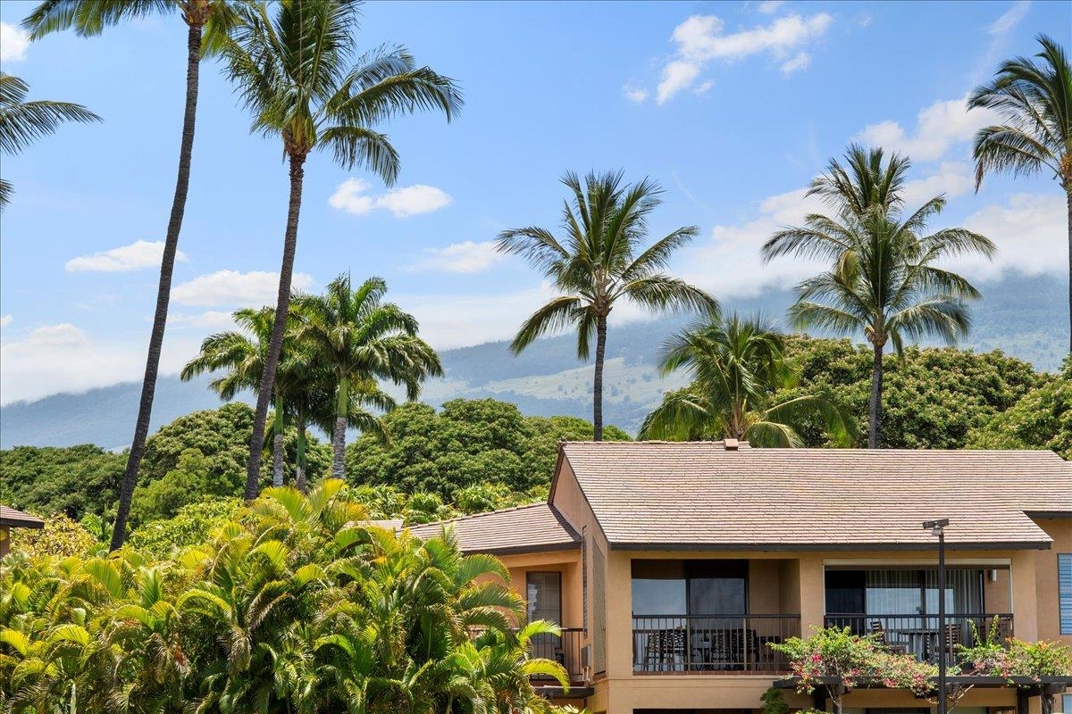 Wailea Ekahi I condo # 3D, Kihei, Hawaii - photo 25 of 49