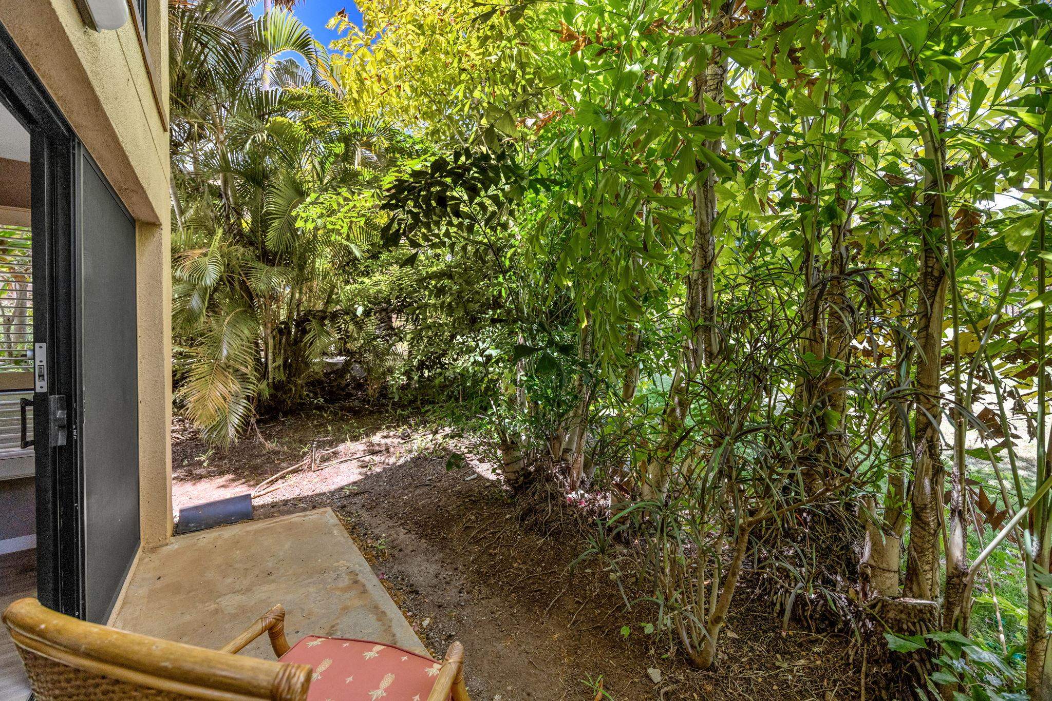 Wailea Ekahi III condo # 41B, Kihei, Hawaii - photo 30 of 50