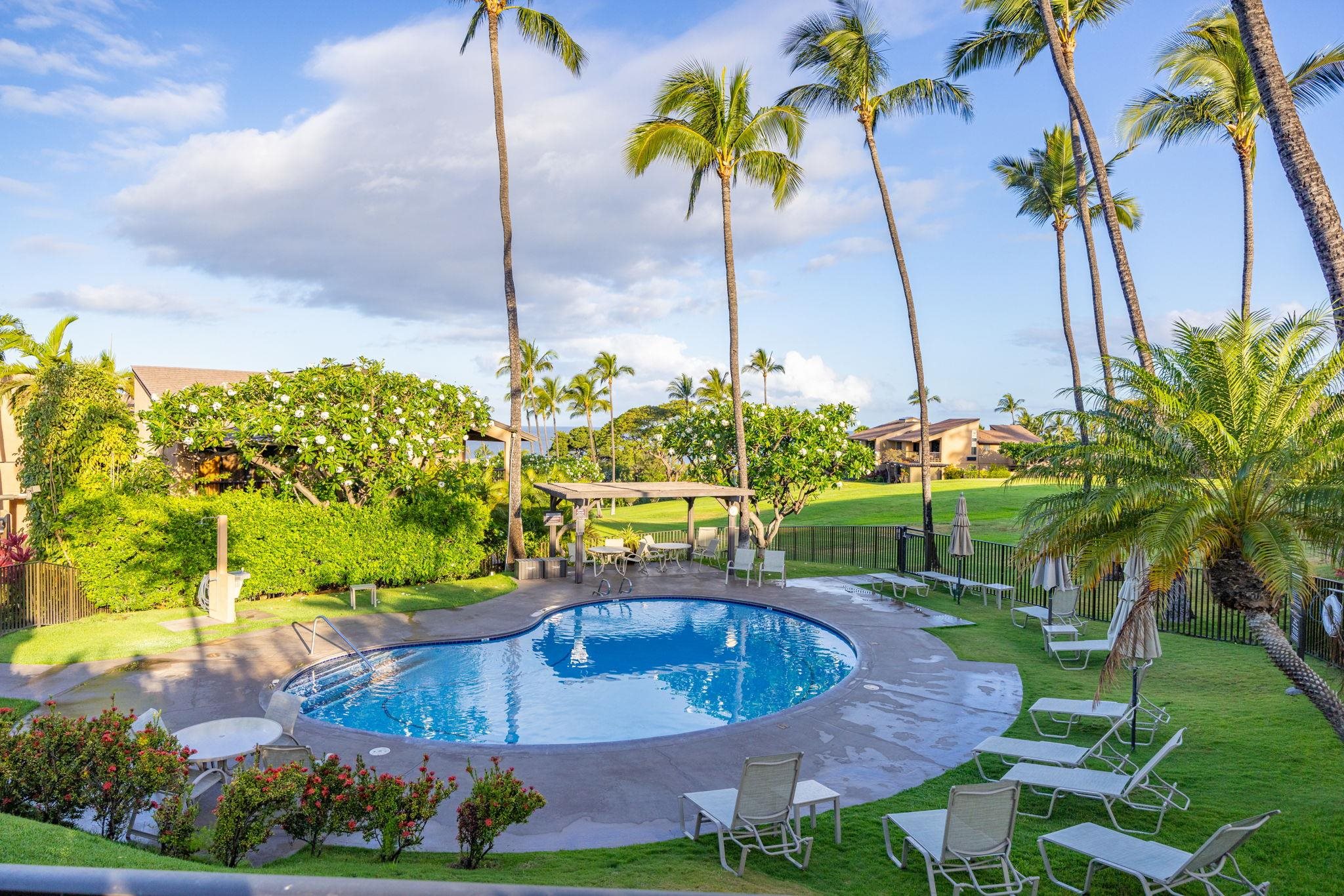 Wailea Ekahi III condo # 41B, Kihei, Hawaii - photo 40 of 50