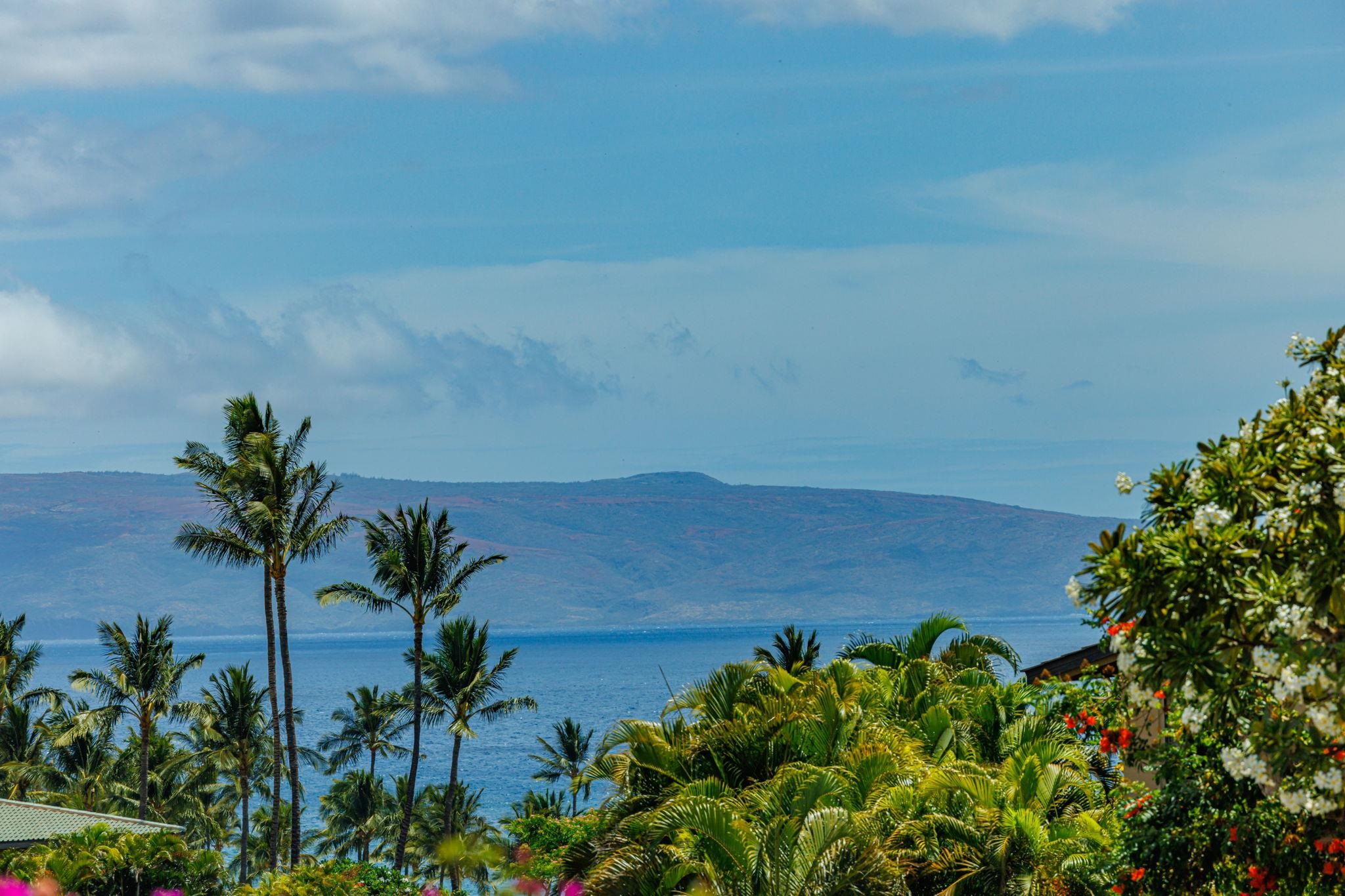 Wailea Ekahi III condo # 41B, Kihei, Hawaii - photo 41 of 50