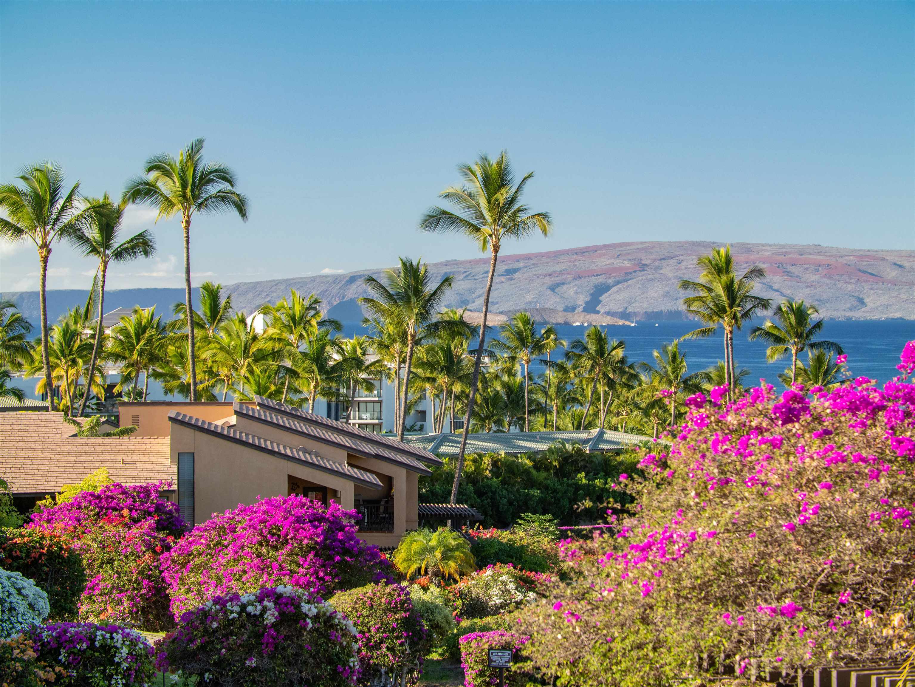 Wailea Ekahi III condo # 41C, Kihei, Hawaii - photo 11 of 50