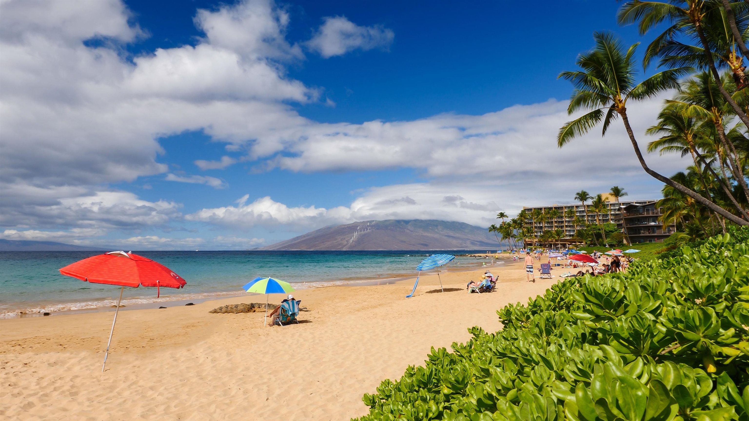 Wailea Ekahi III condo # 41C, Kihei, Hawaii - photo 45 of 50