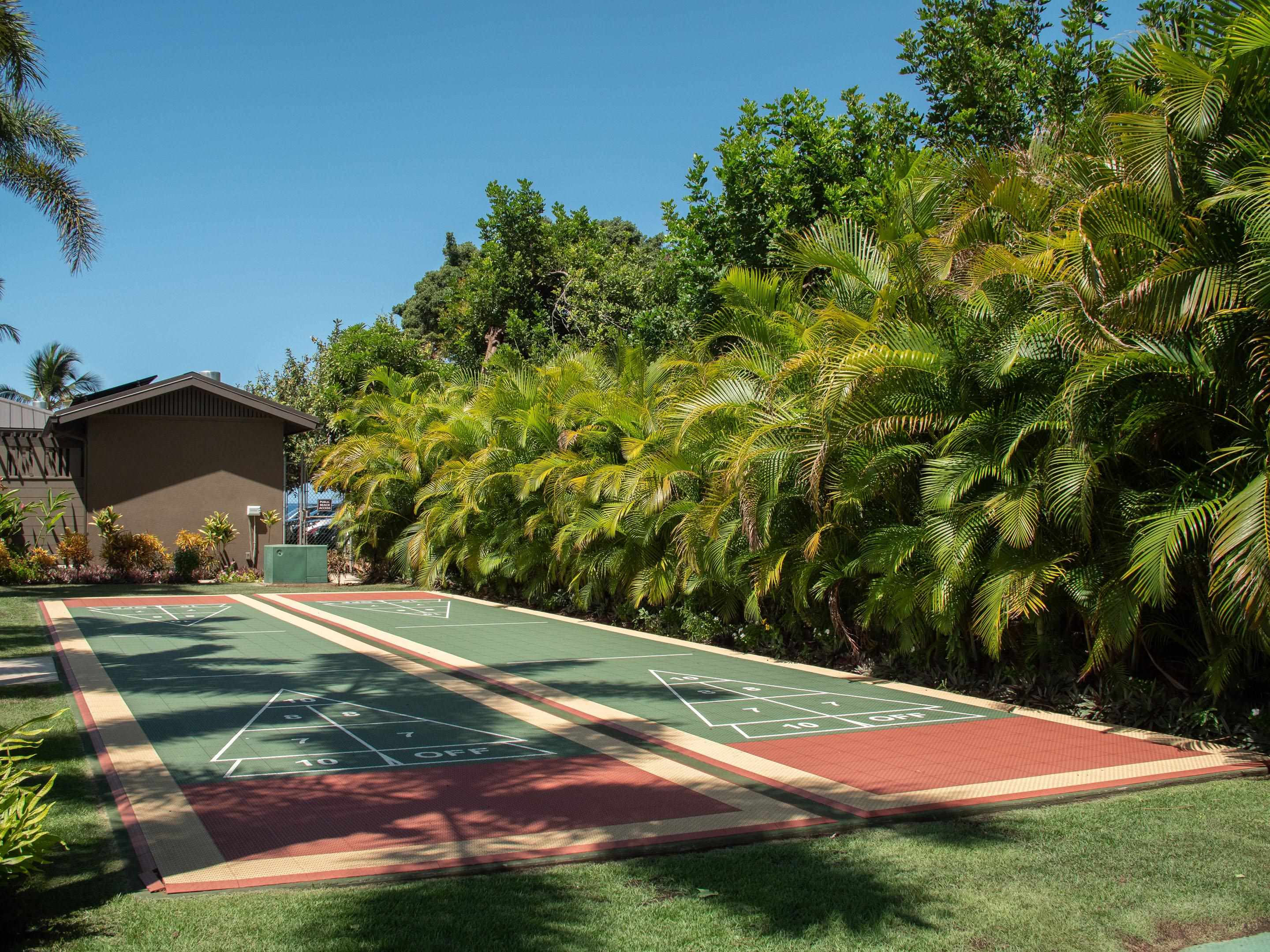 Wailea Ekahi III condo # 43B, Kihei, Hawaii - photo 33 of 44