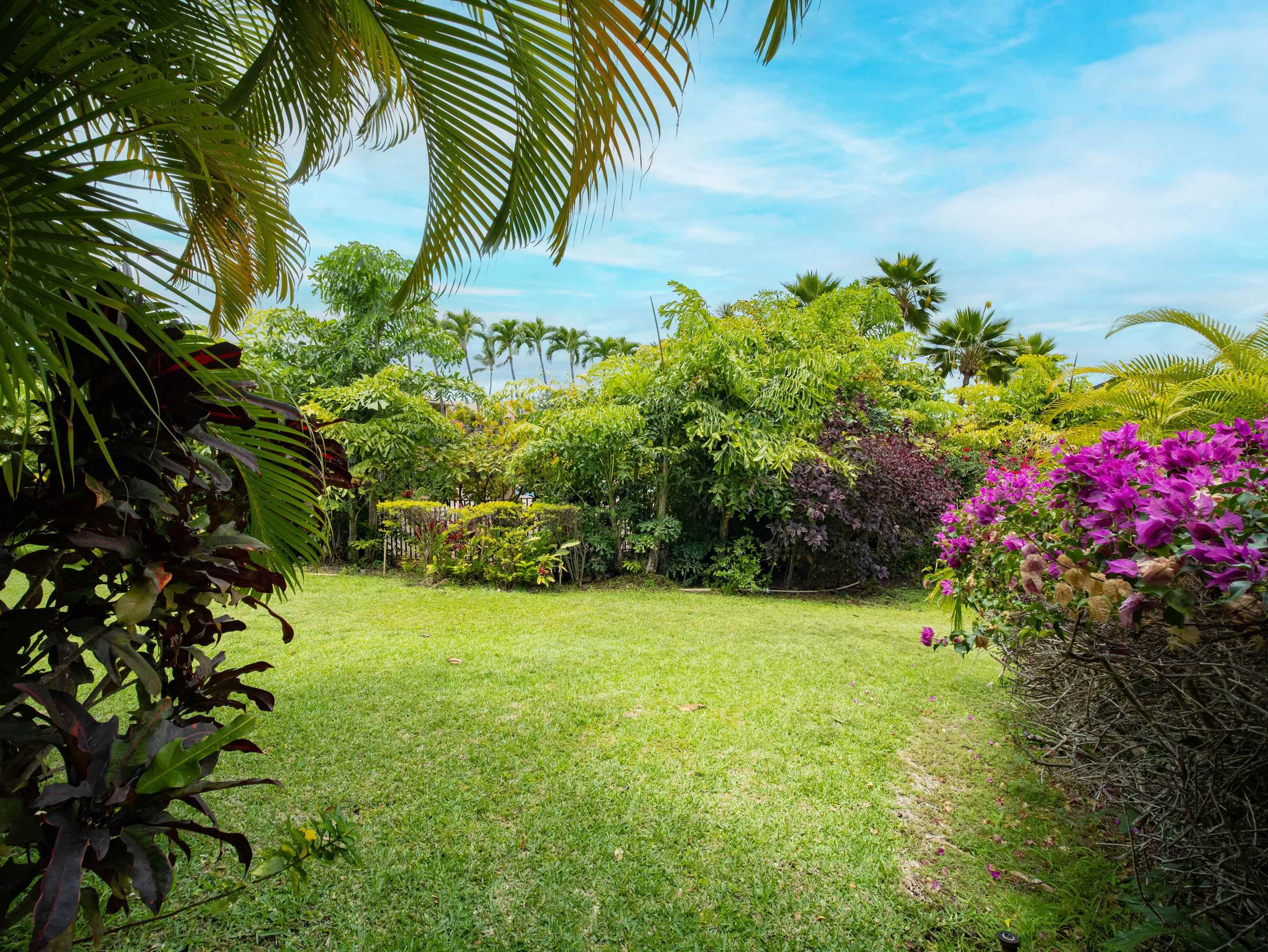 Wailea Ekahi III condo # 43B, Kihei, Hawaii - photo 43 of 44