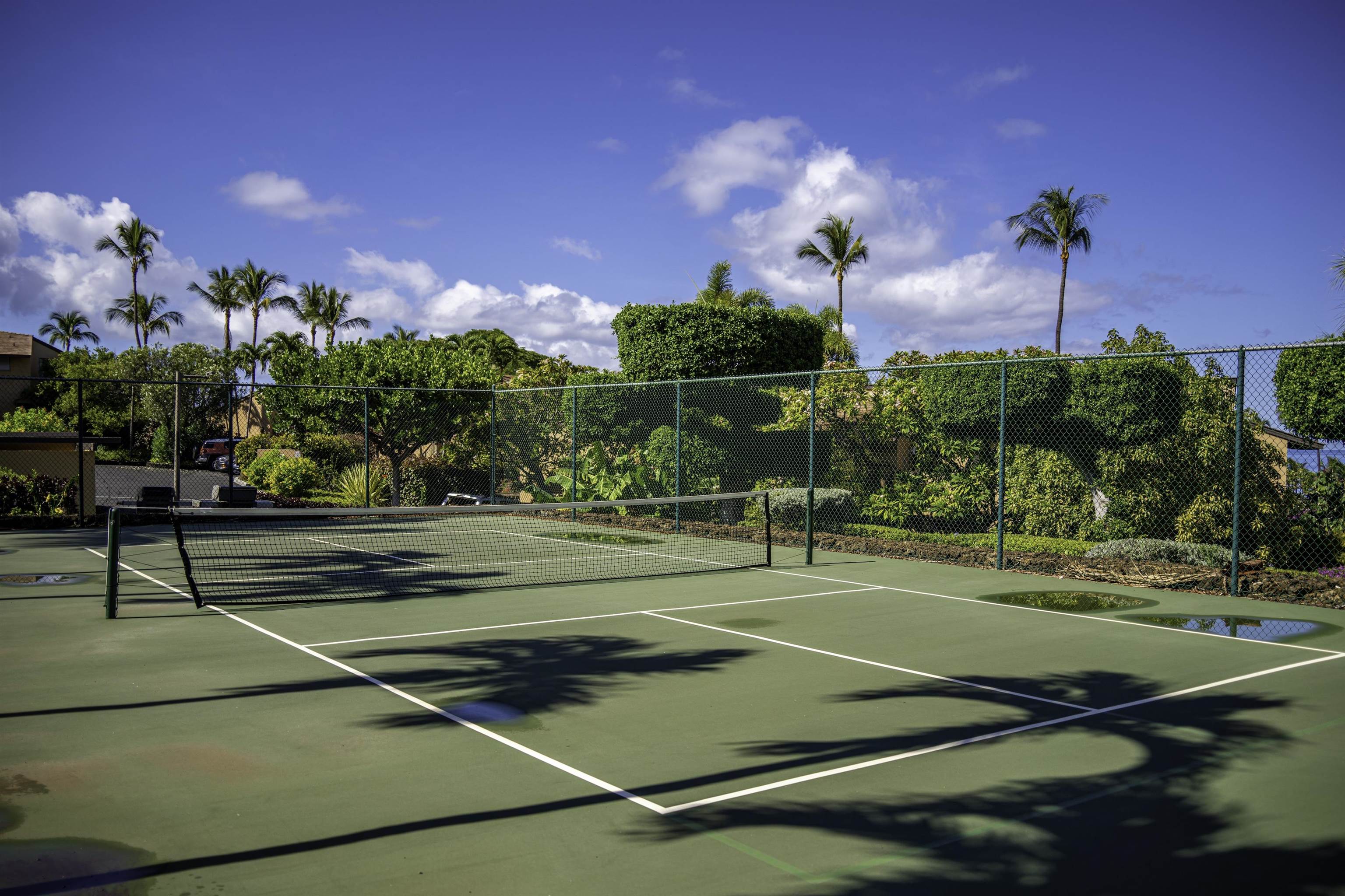 Wailea Ekahi III condo # 47B, Kihei, Hawaii - photo 40 of 47