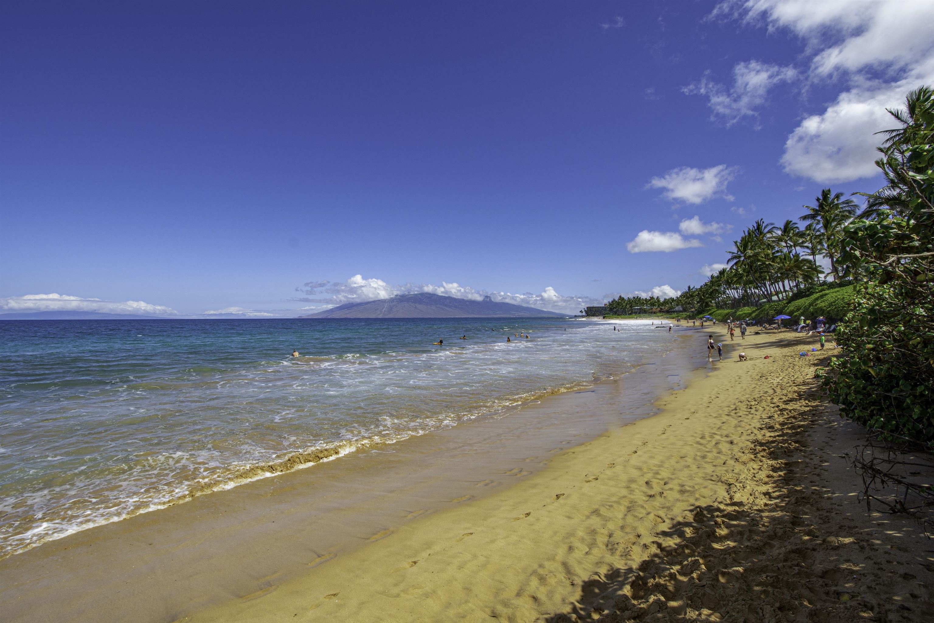 Wailea Ekahi III condo # 47B, Kihei, Hawaii - photo 47 of 47