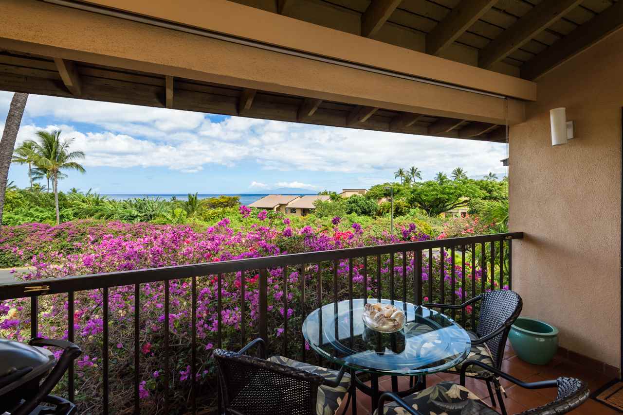 Wailea Ekahi III condo # 53D, Kihei, Hawaii - photo 17 of 30