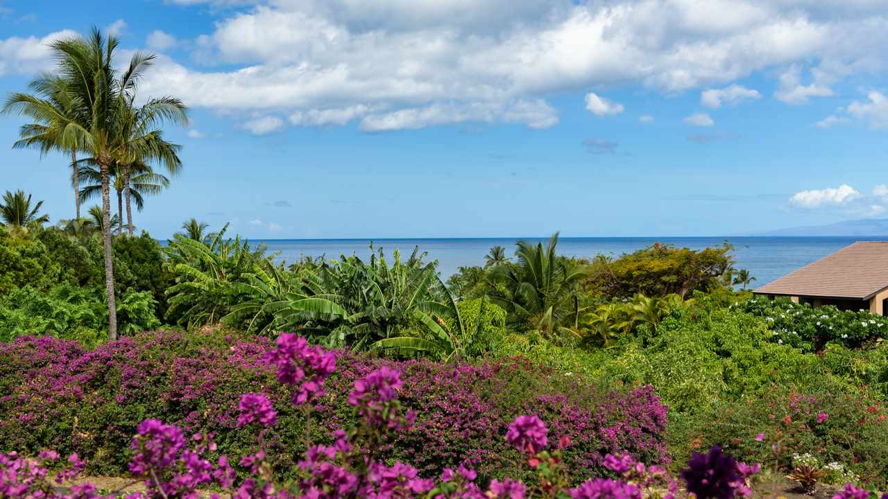Wailea Ekahi III condo # 53D, Kihei, Hawaii - photo 18 of 30