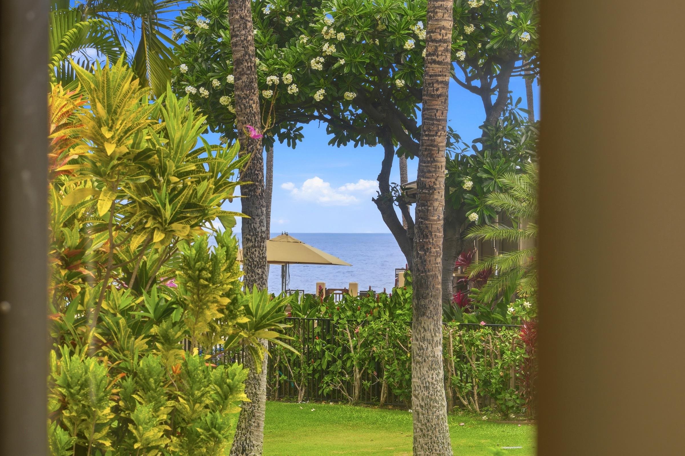 Wailea Ekahi I condo # 8B, Kihei, Hawaii - photo 12 of 41