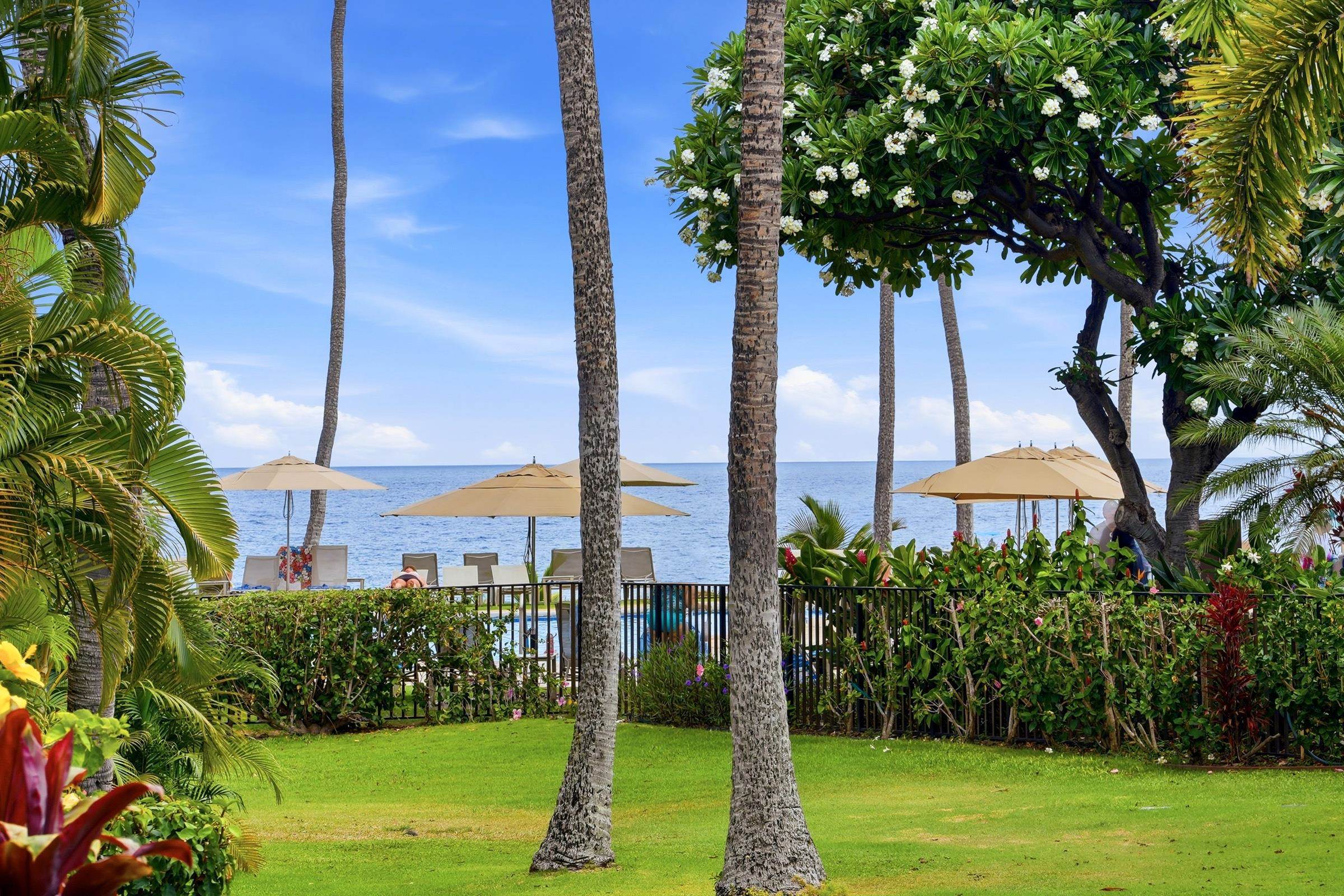 Wailea Ekahi I condo # 8B, Kihei, Hawaii - photo 19 of 41