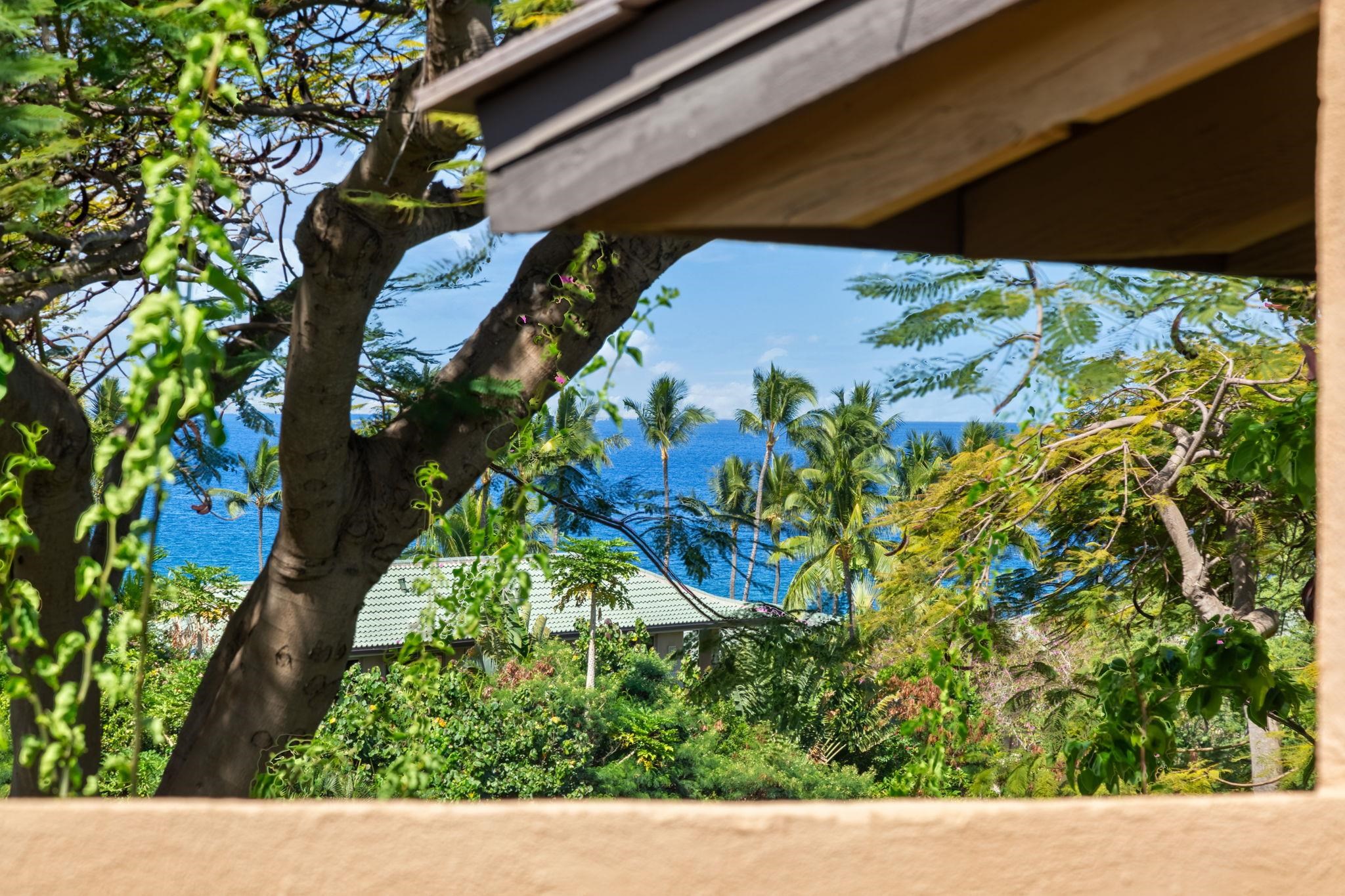 Wailea Ekahi I condo # 3A, Kihei, Hawaii - photo 23 of 42