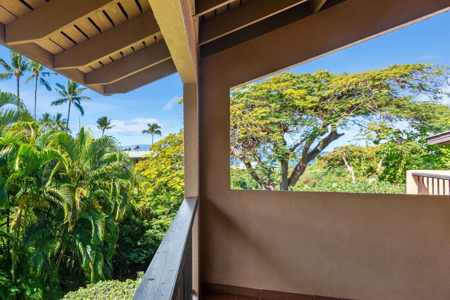 Wailea Ekahi I condo # 3A, Kihei, Hawaii - photo 30 of 42