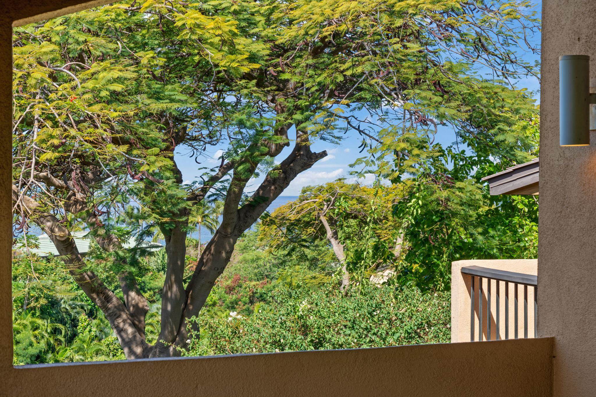 Wailea Ekahi I condo # 3A, Kihei, Hawaii - photo 31 of 42