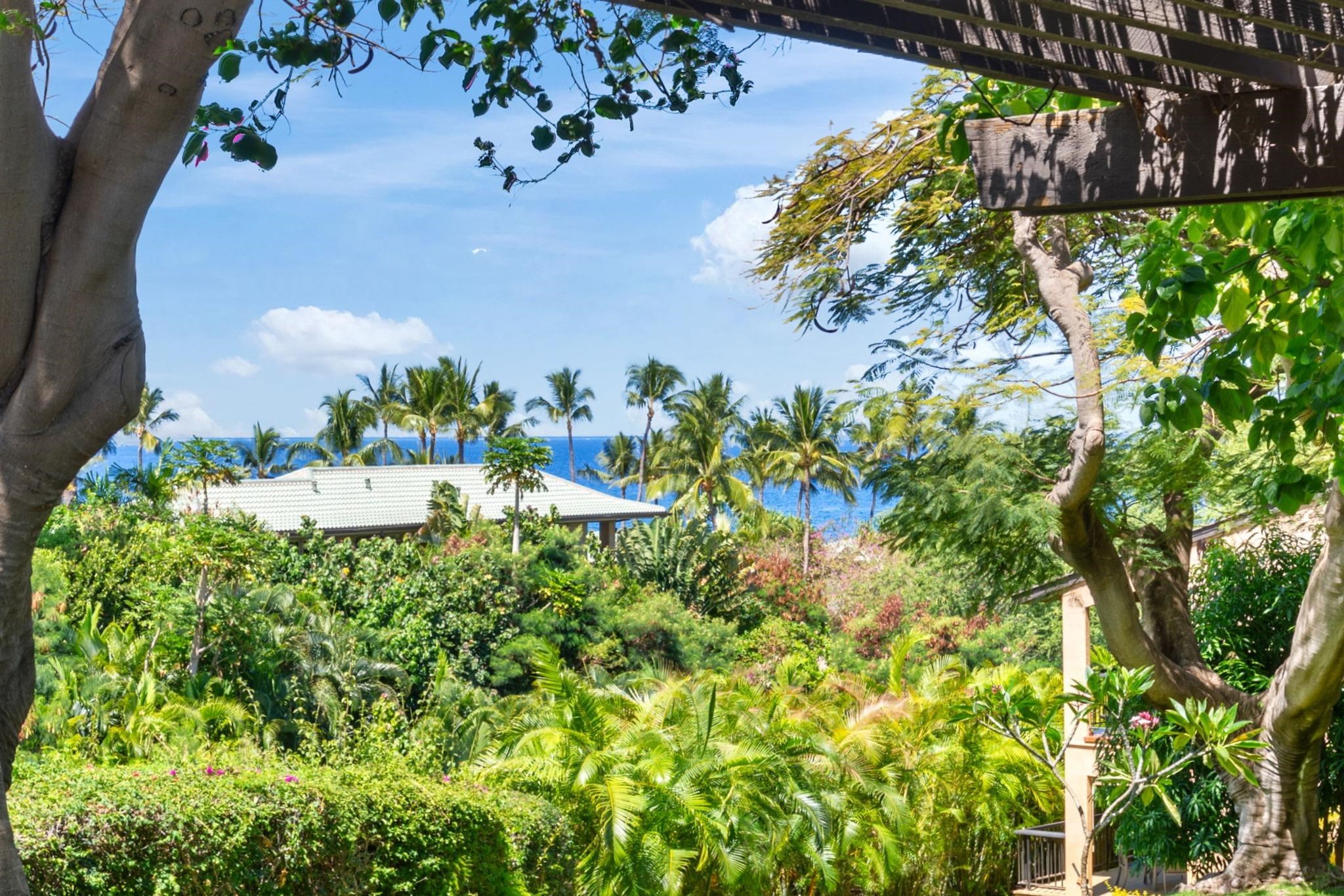 Wailea Ekahi I condo # 3A, Kihei, Hawaii - photo 6 of 42