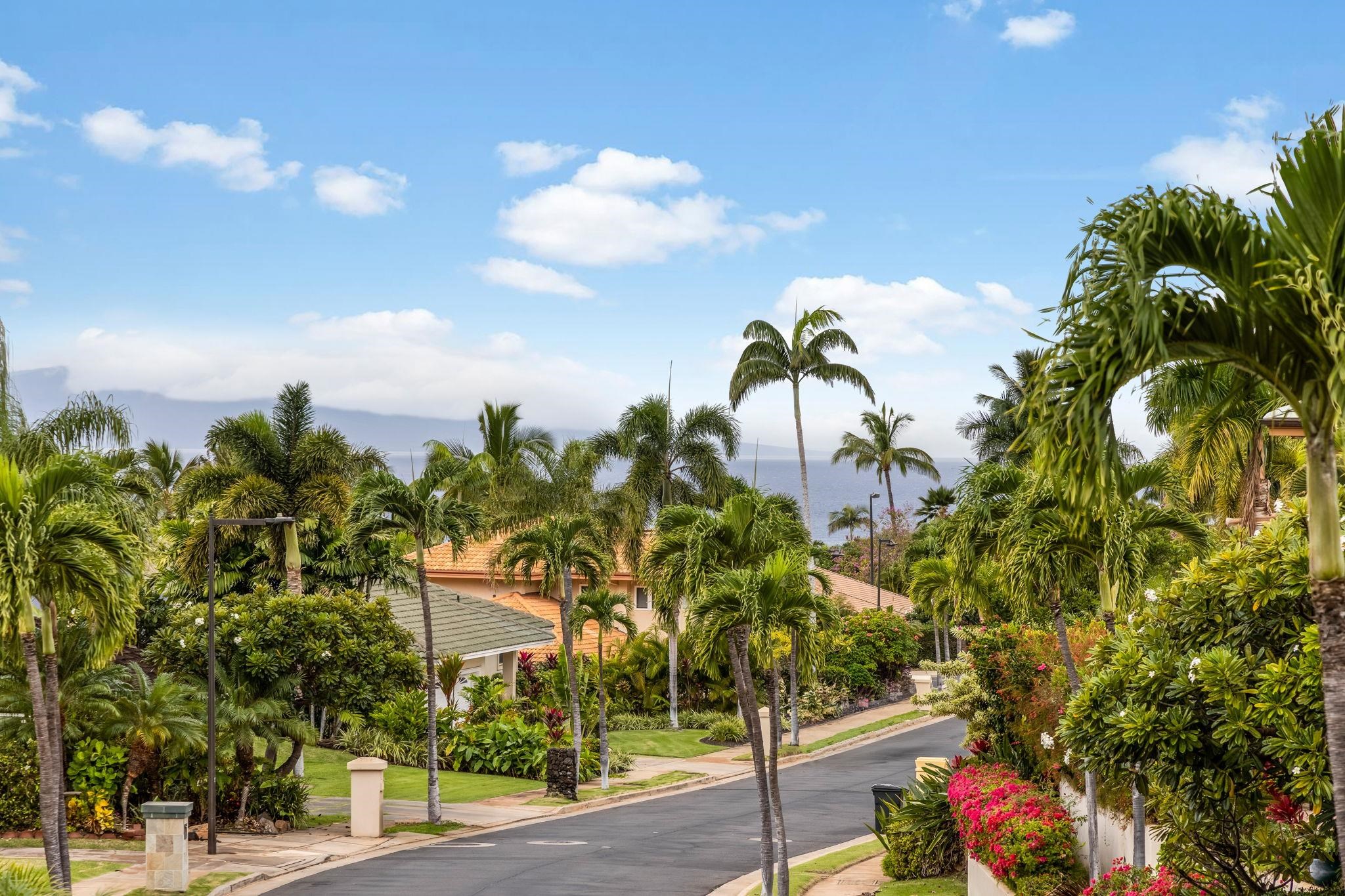 332  Pualoa Nani Pl Wailea, Wailea/Makena home - photo 33 of 50