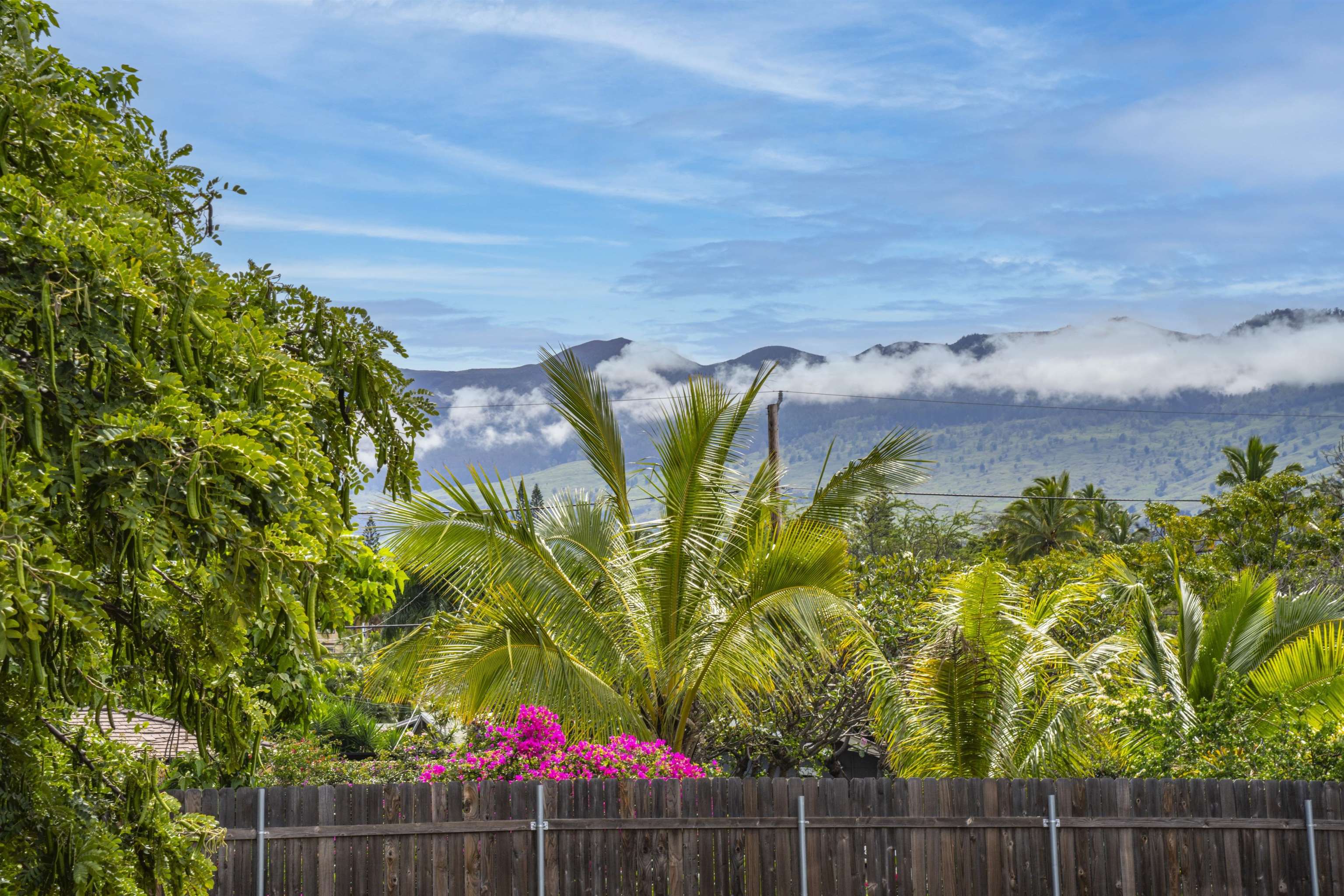 3325  Mapu Pl Maui Meadows, Maui Meadows home - photo 26 of 33