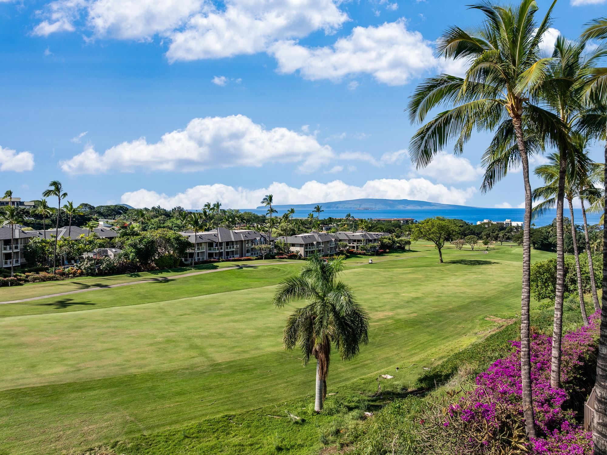 Kai Malu condo # 58A, Kihei, Hawaii - photo 33 of 50
