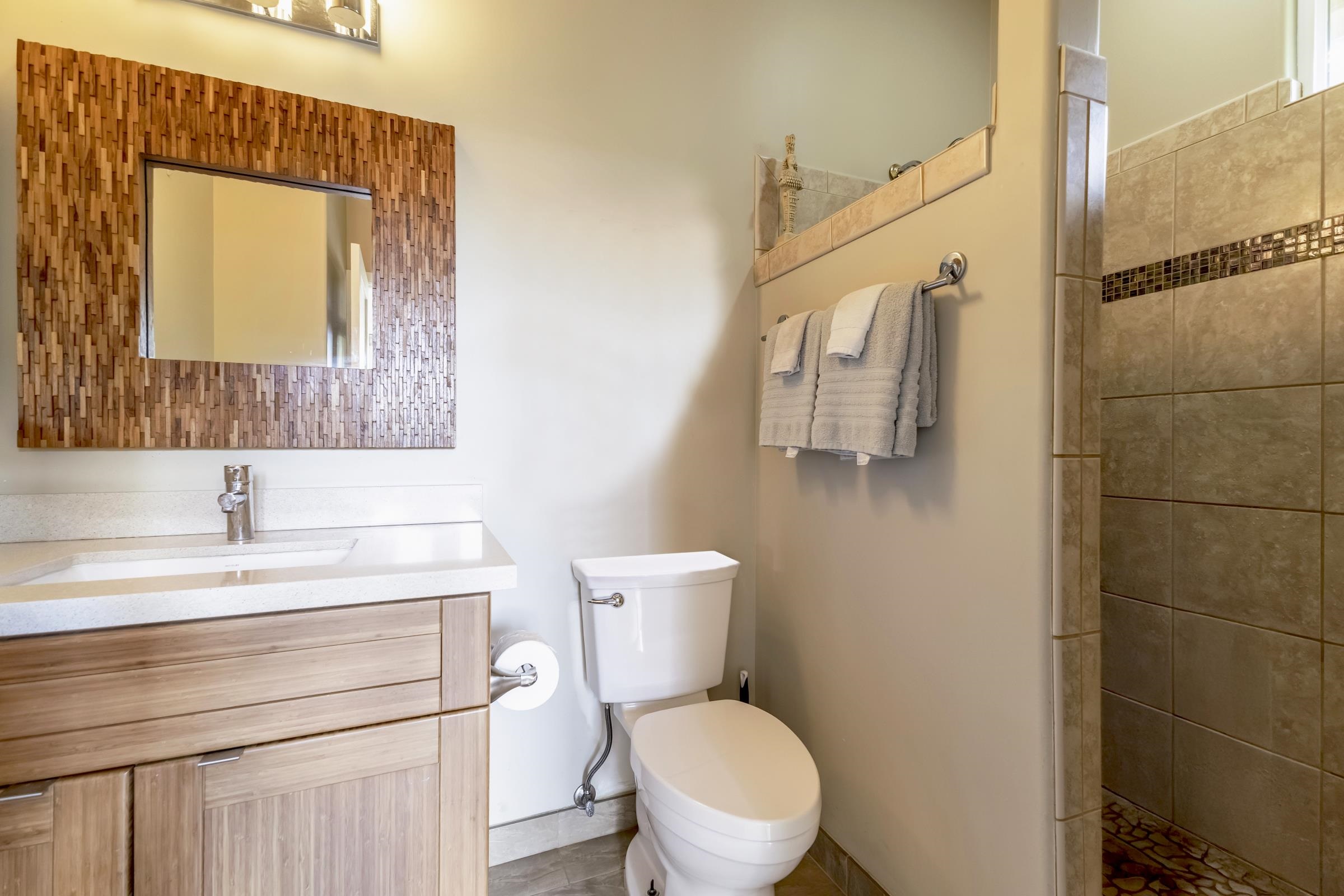 3351  Lani Ikena Way Wailea, Wailea/Makena home - photo 31 of 43