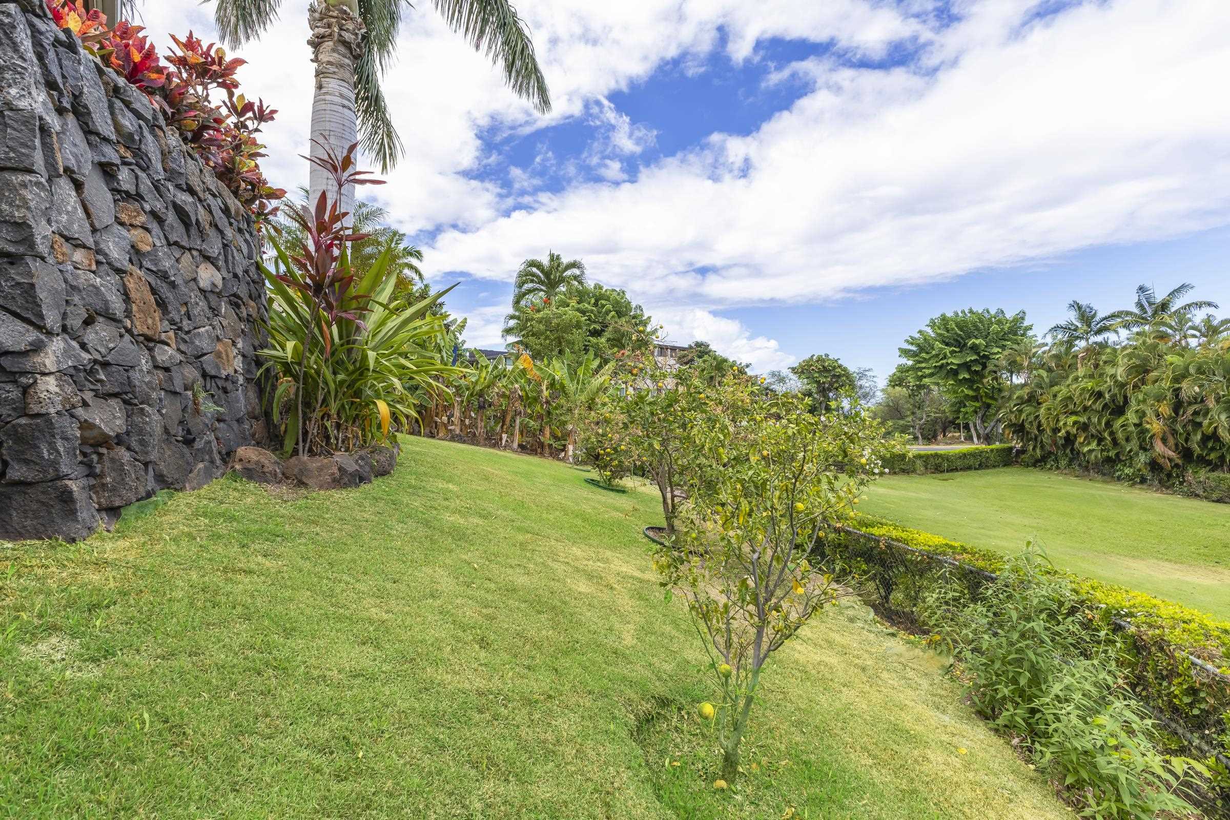 3351  Lani Ikena Way Wailea, Wailea/Makena home - photo 8 of 43