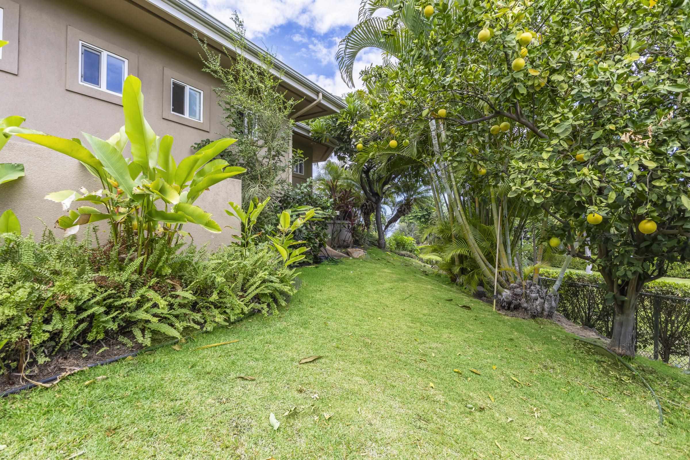 3351  Lani Ikena Way Wailea, Wailea/Makena home - photo 9 of 43