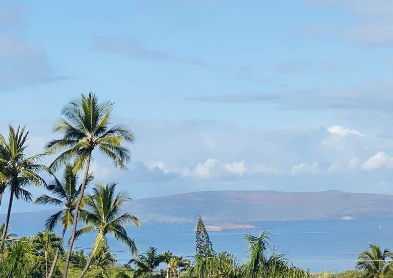 3360  Kuaua Pl Maui Meadows, Maui Meadows home - photo 48 of 48