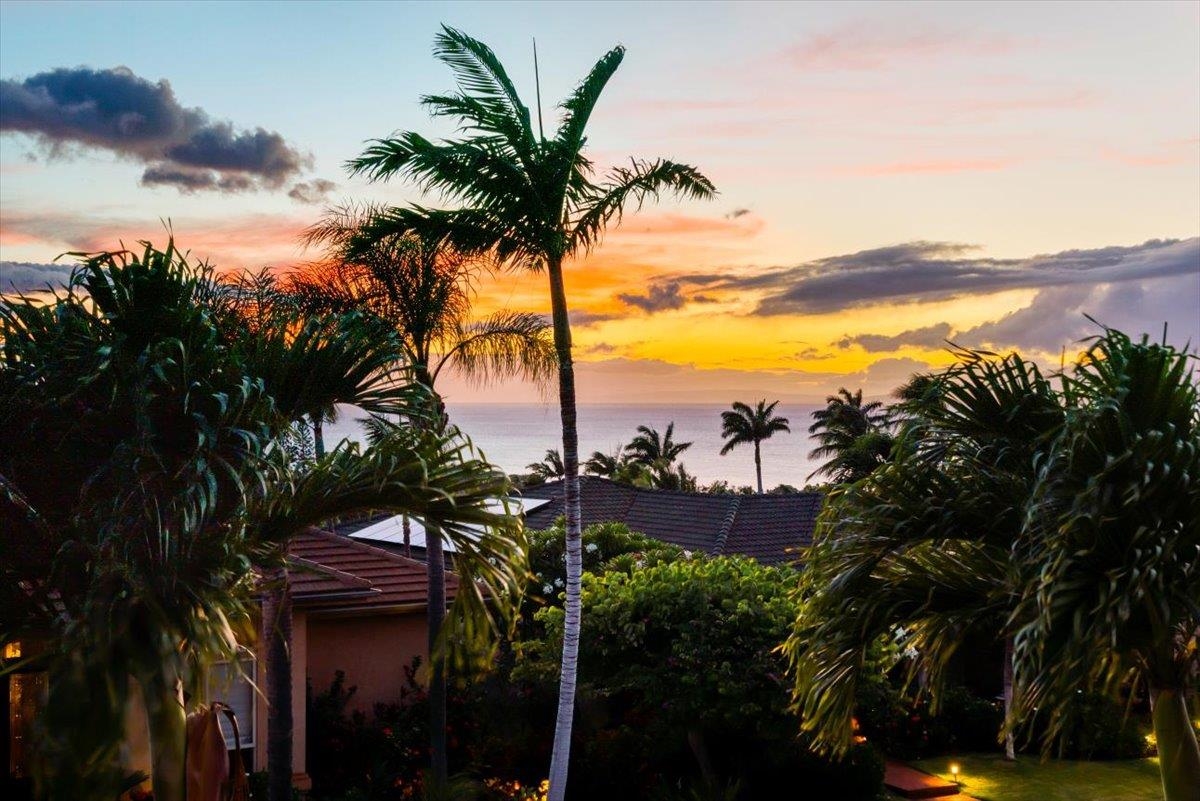 337  Aalii Way Kaanapali, Kaanapali home - photo 44 of 50