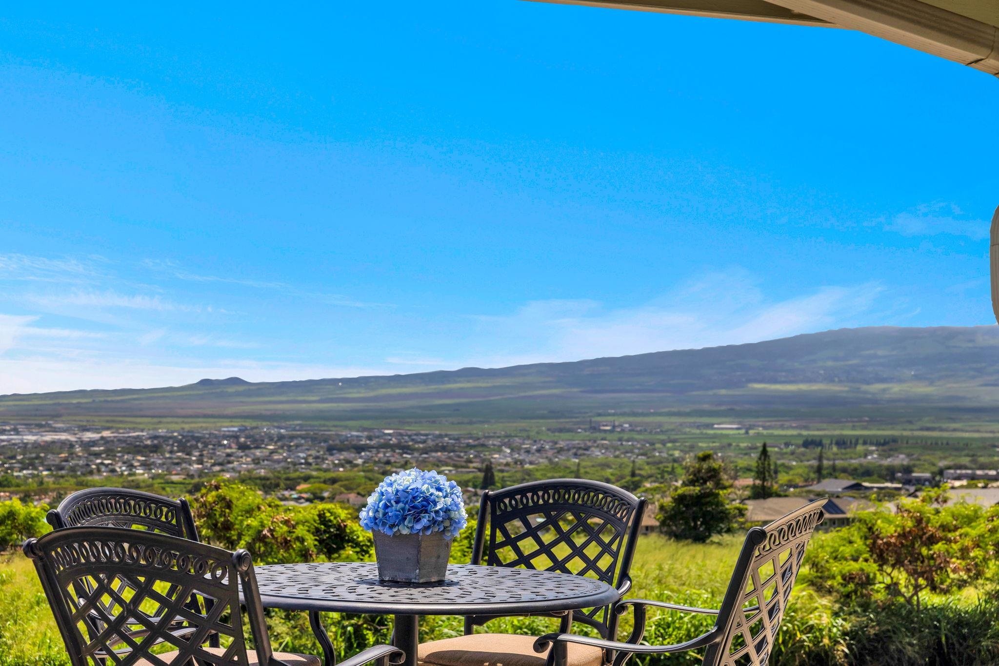 337  Laniuma Pl , Wailuku home - photo 29 of 38