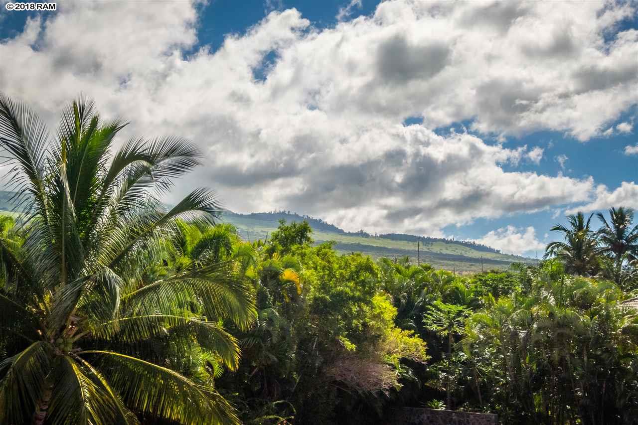 3377 Lani Ikena Way  Kihei, Hi vacant land for sale - photo 10 of 18