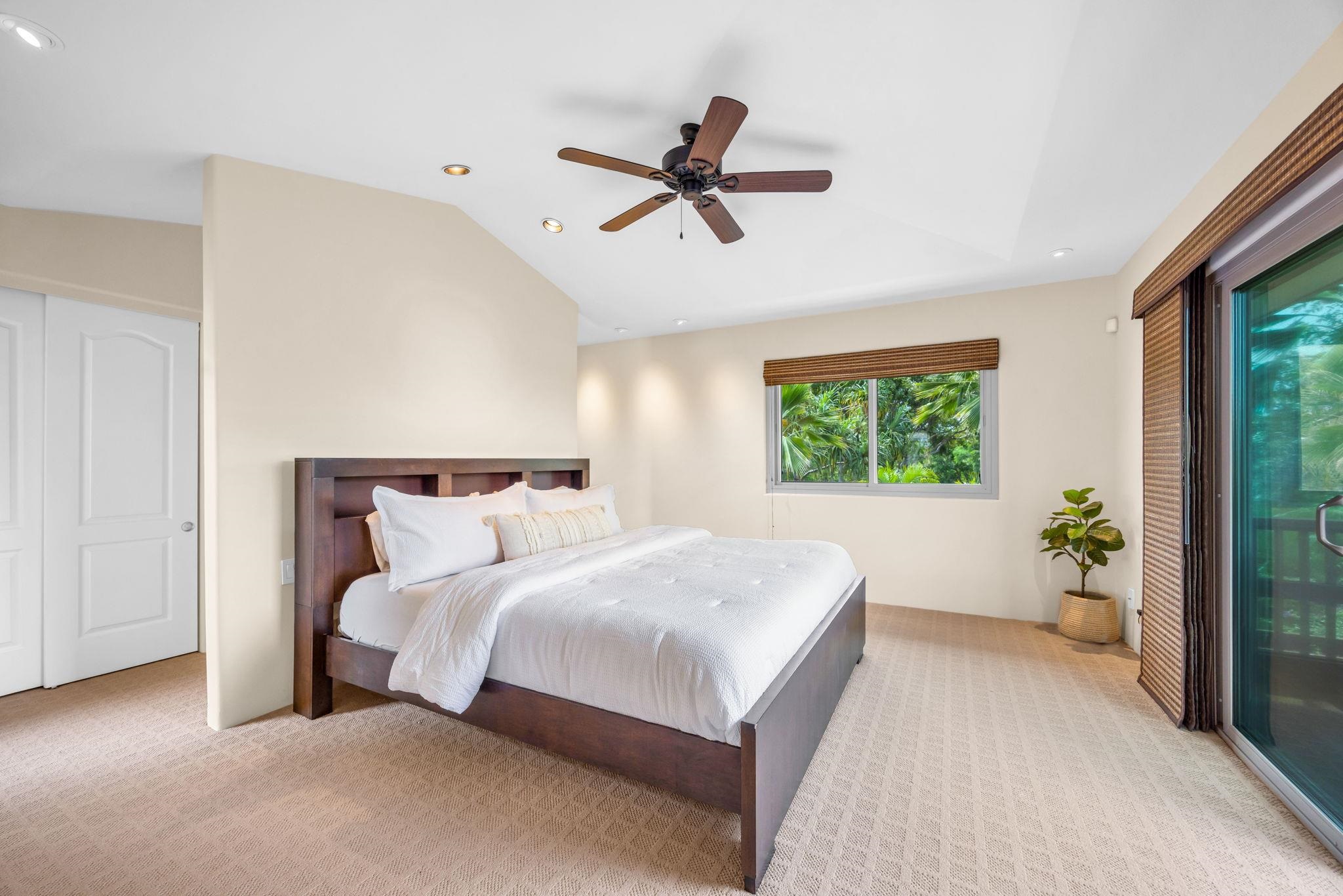 3386  Lani Ikena Way , Wailea/Makena home - photo 24 of 46