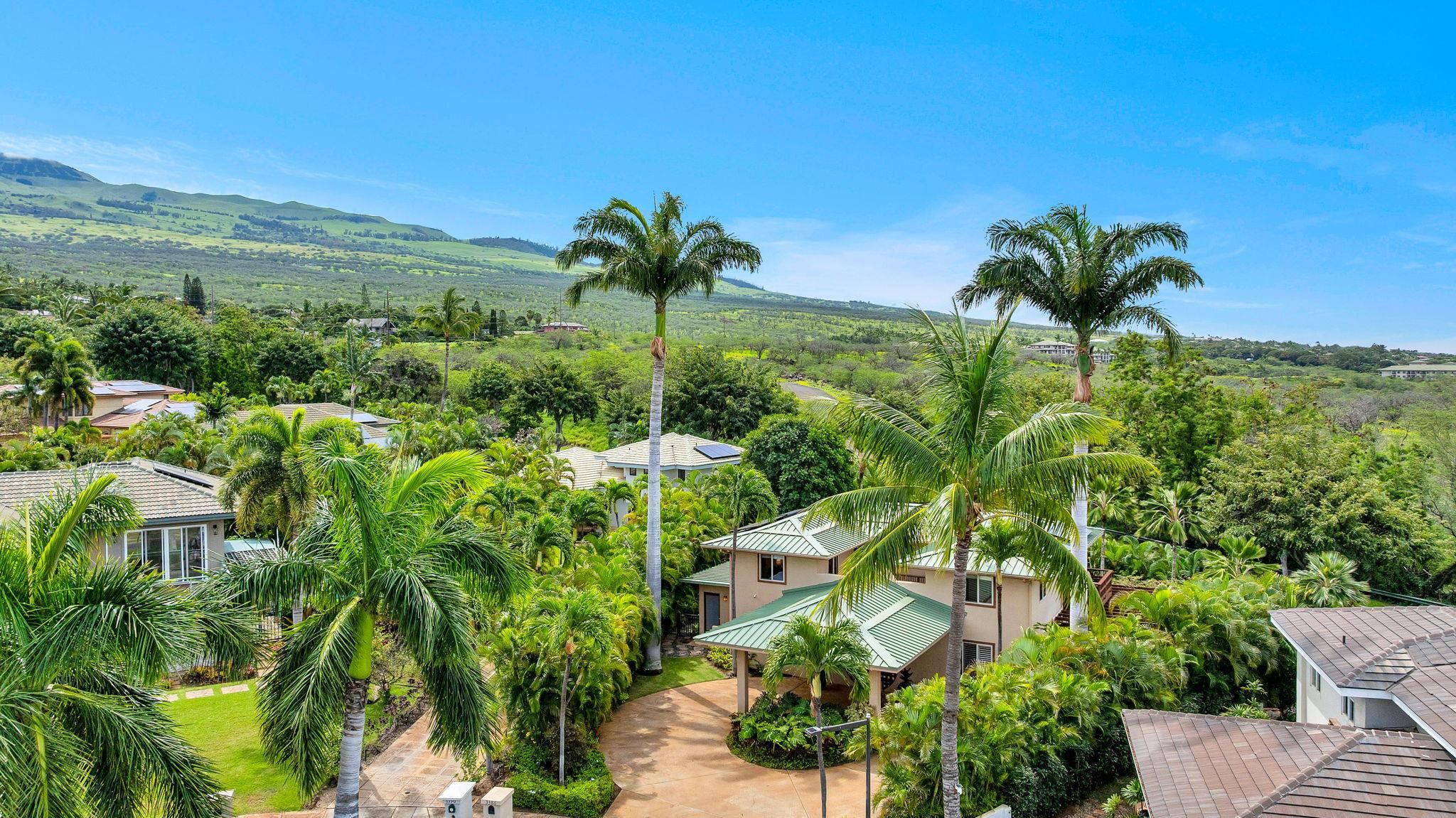 3386  Lani Ikena Way , Wailea/Makena home - photo 44 of 46