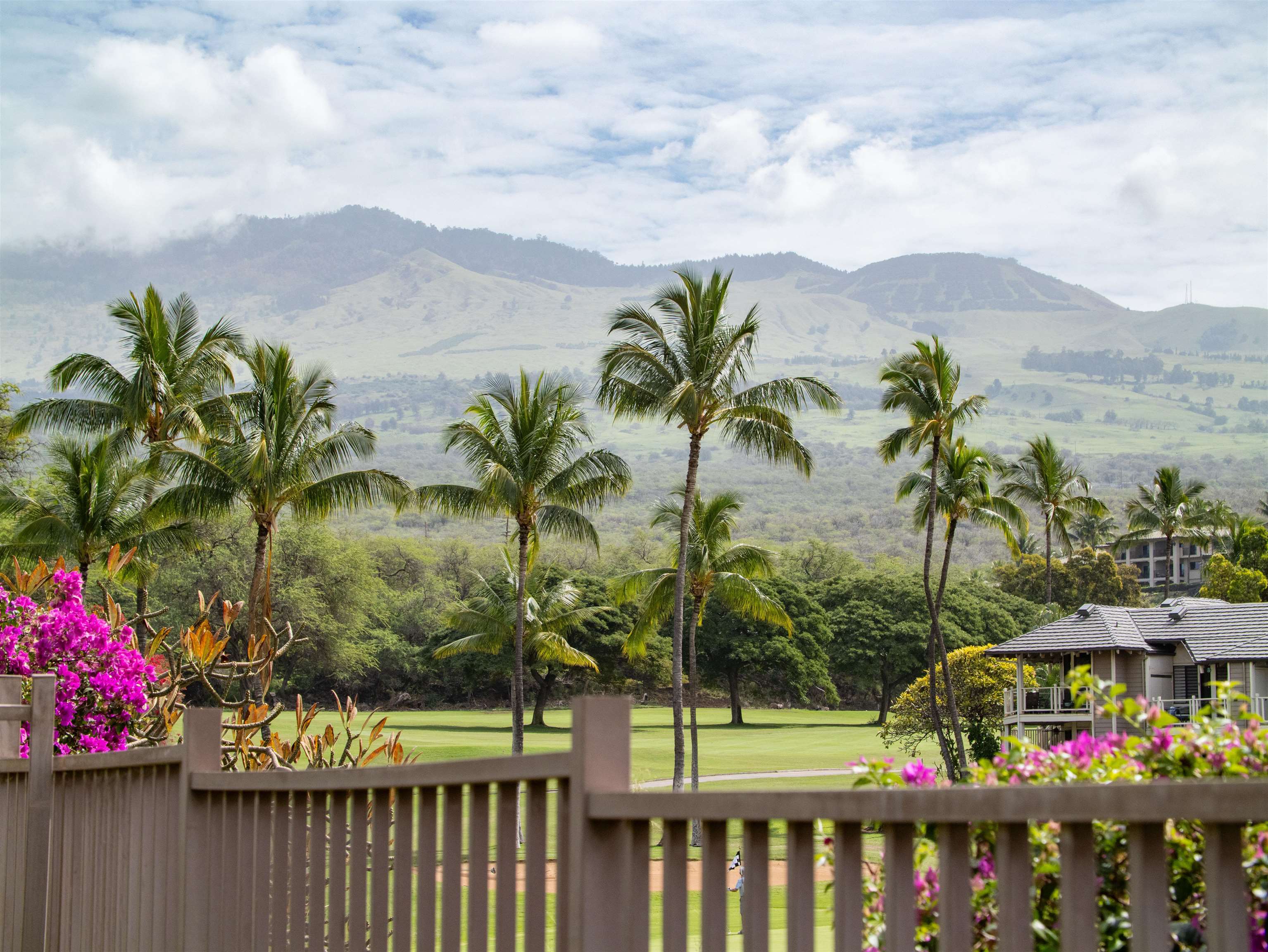 Kai Malu condo # 58B, Kihei, Hawaii - photo 24 of 50