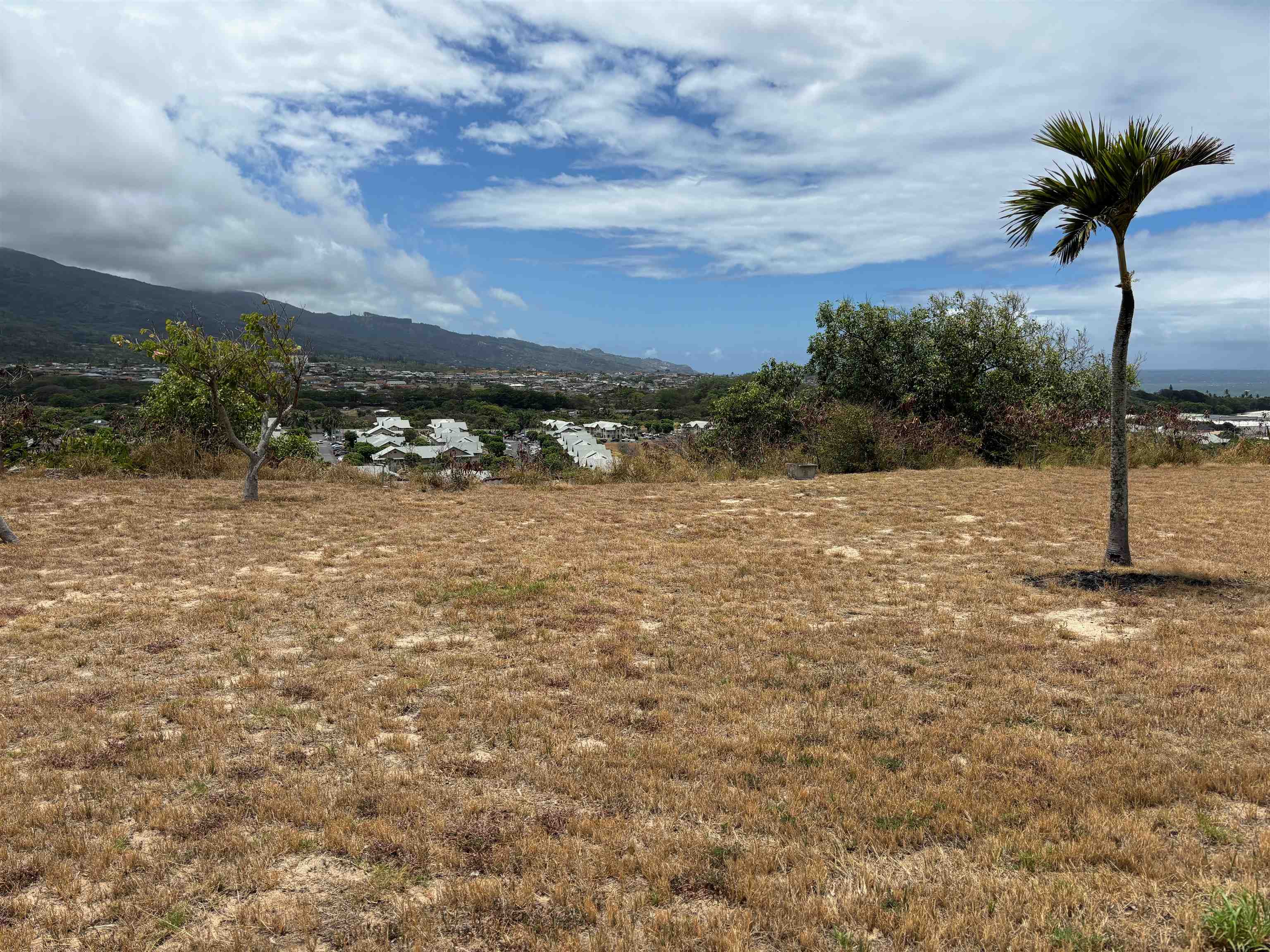 339  Liholiho St , Wailuku home - photo 14 of 16