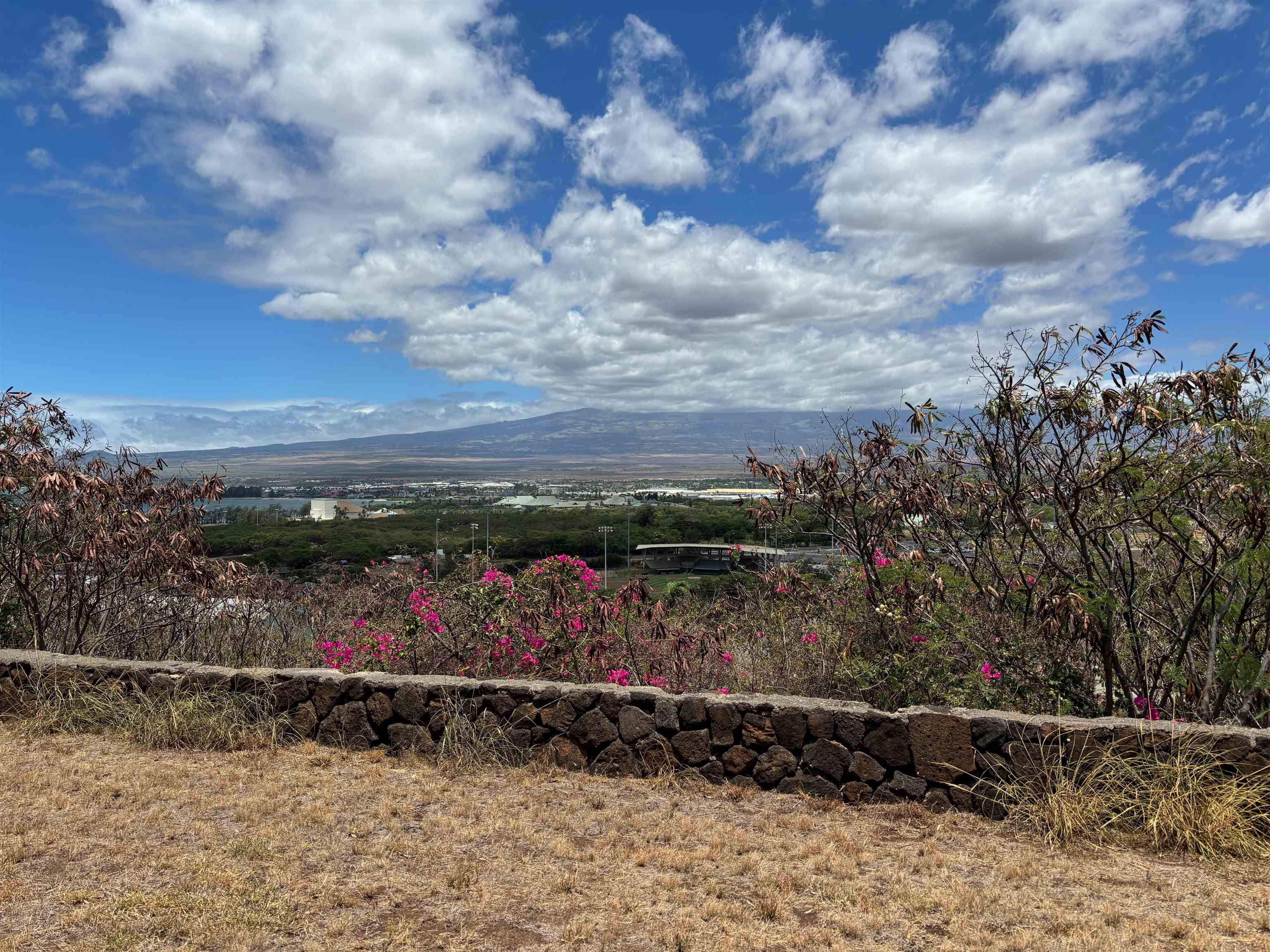 339  Liholiho St , Wailuku home - photo 16 of 16