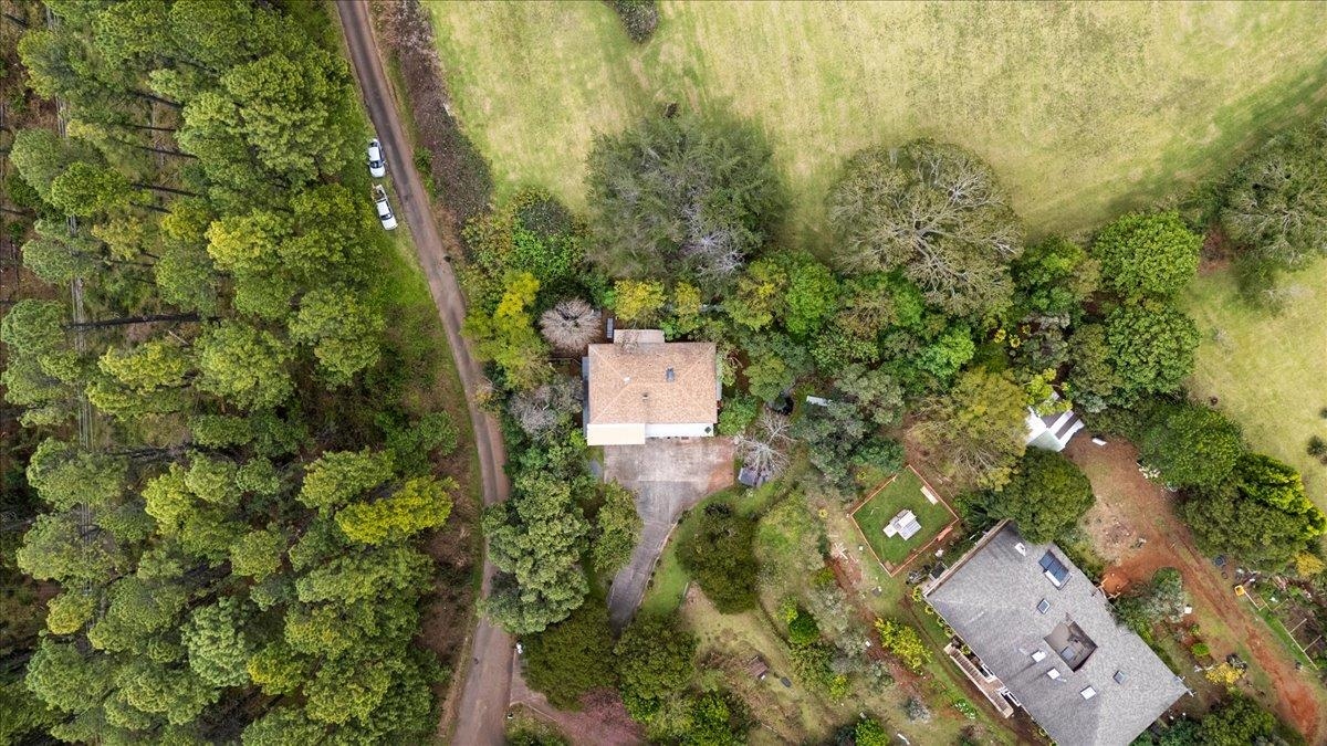 34  Alaluana Rd , Makawao/Olinda/Haliimaile home - photo 39 of 50