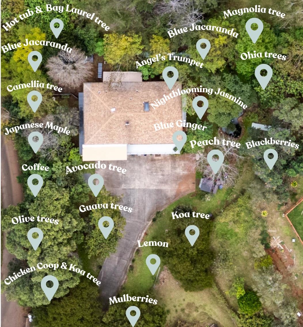 34  Alaluana Rd , Makawao/Olinda/Haliimaile home - photo 40 of 50