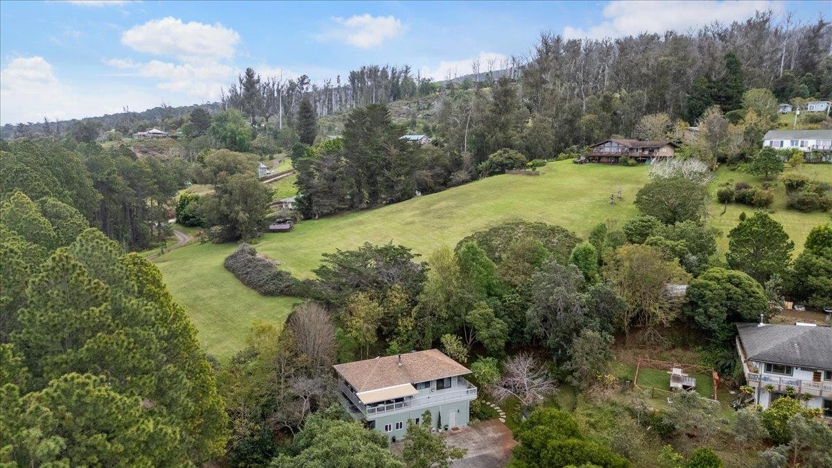 34  Alaluana Rd , Makawao/Olinda/Haliimaile home - photo 45 of 50