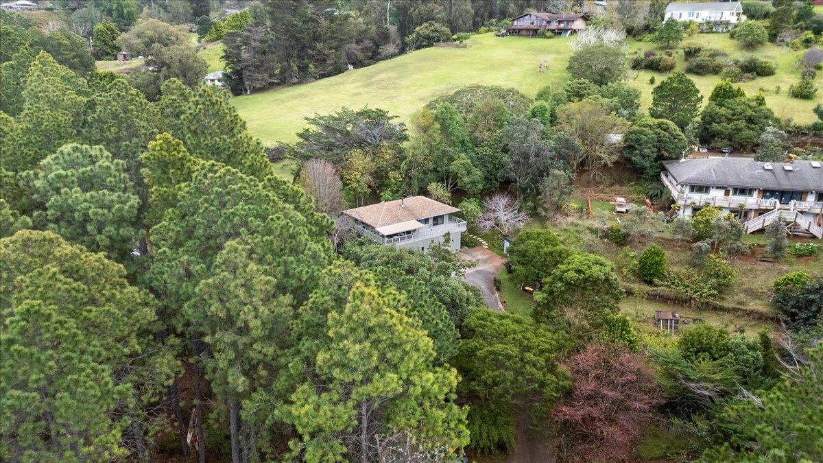 34  Alaluana Rd , Makawao/Olinda/Haliimaile home - photo 46 of 50