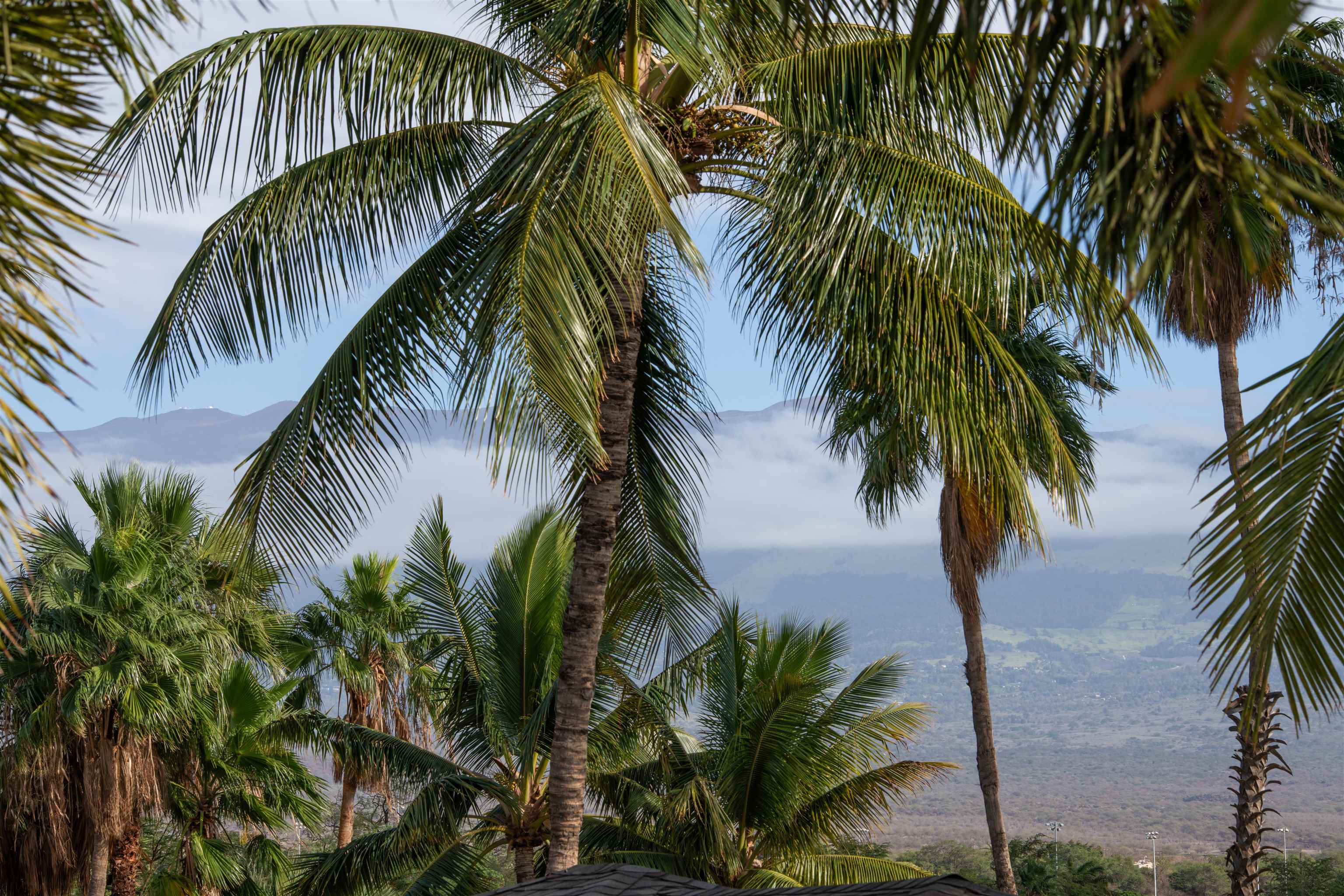 Kai Ani Village condo # 12-204, Kihei, Hawaii - photo 28 of 40