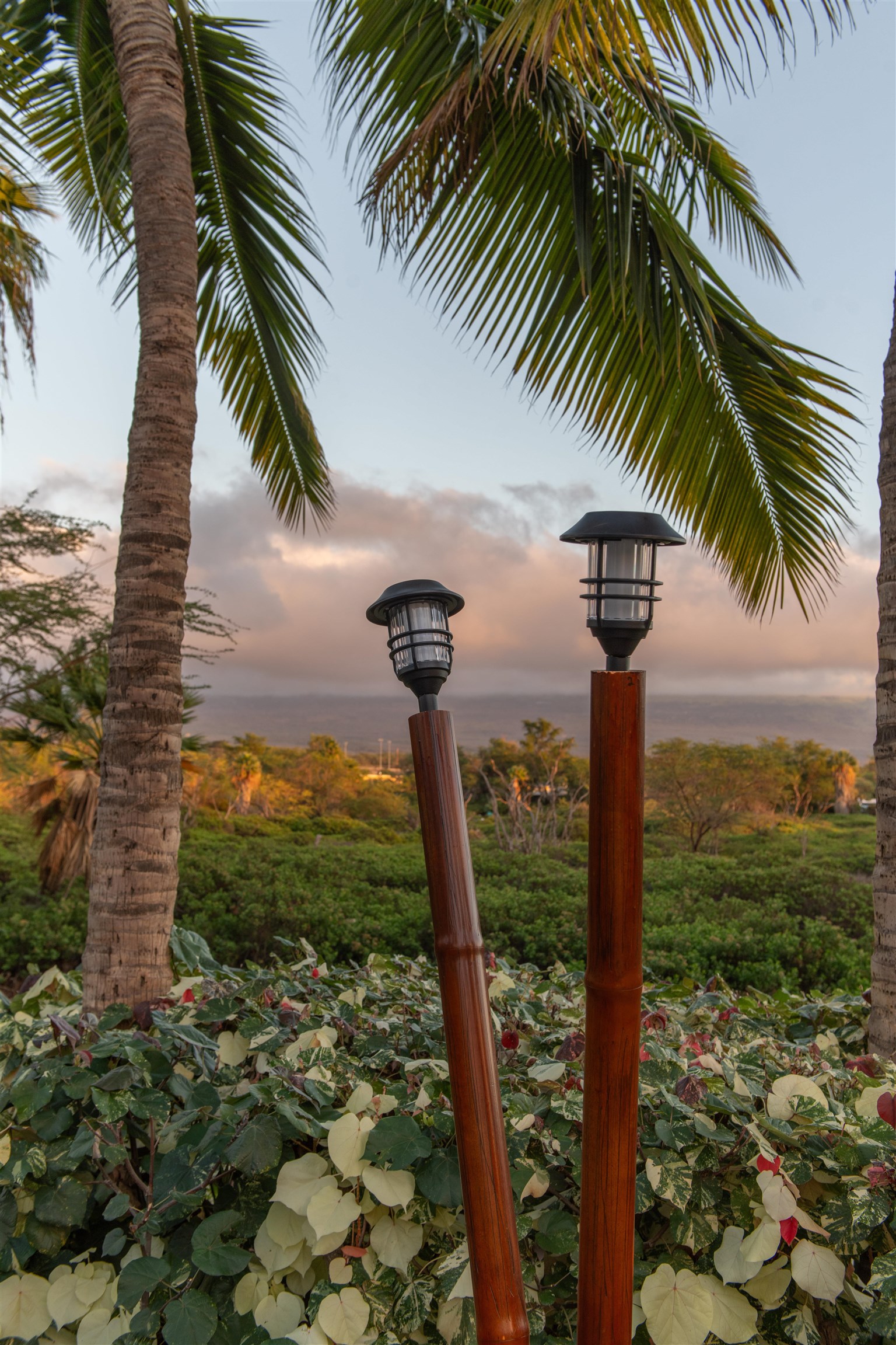 Kai Ani Village condo # 12-204, Kihei, Hawaii - photo 38 of 40