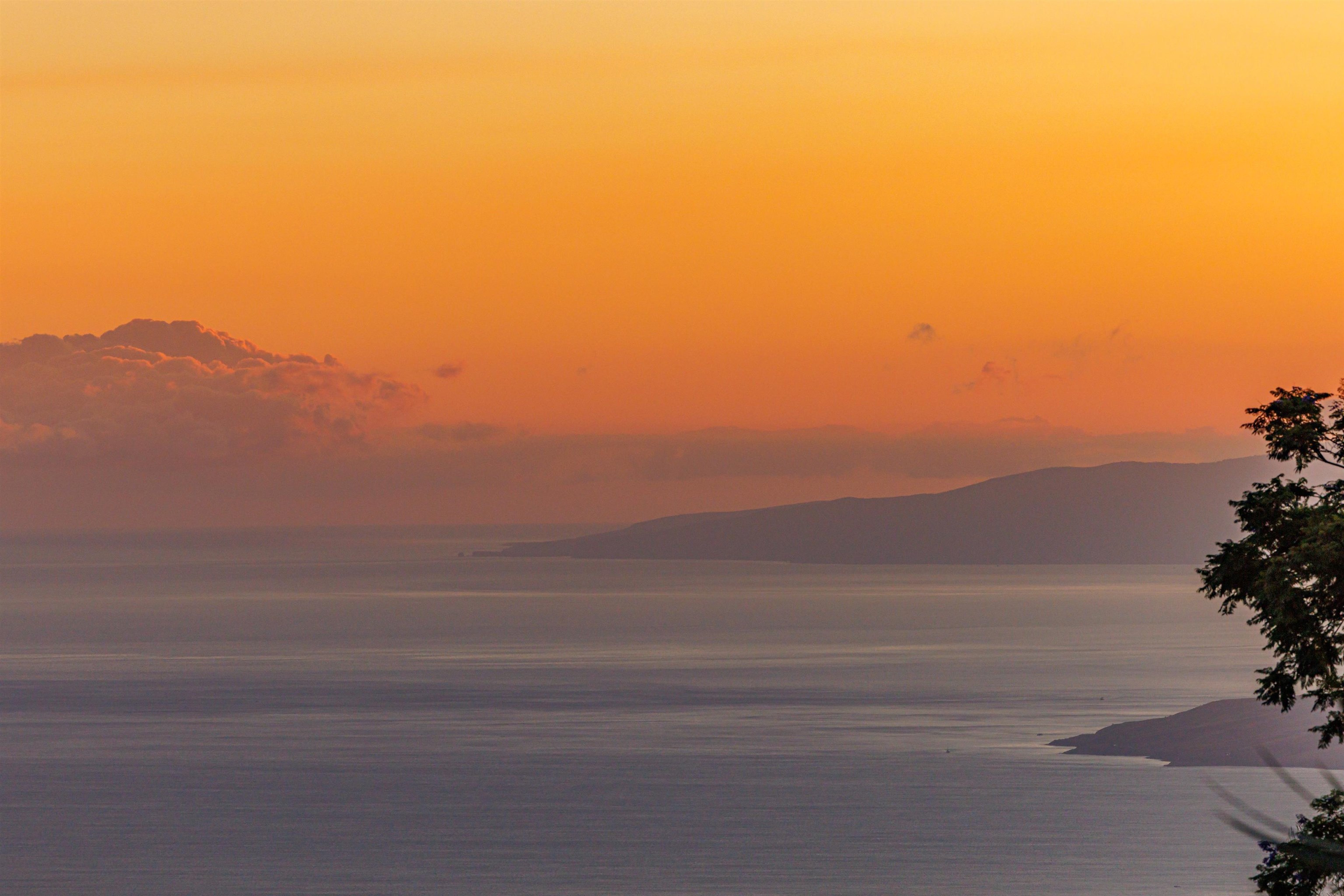 34  Kulalani Cir Kula Orchards, Kula/Ulupalakua/Kanaio home - photo 46 of 50