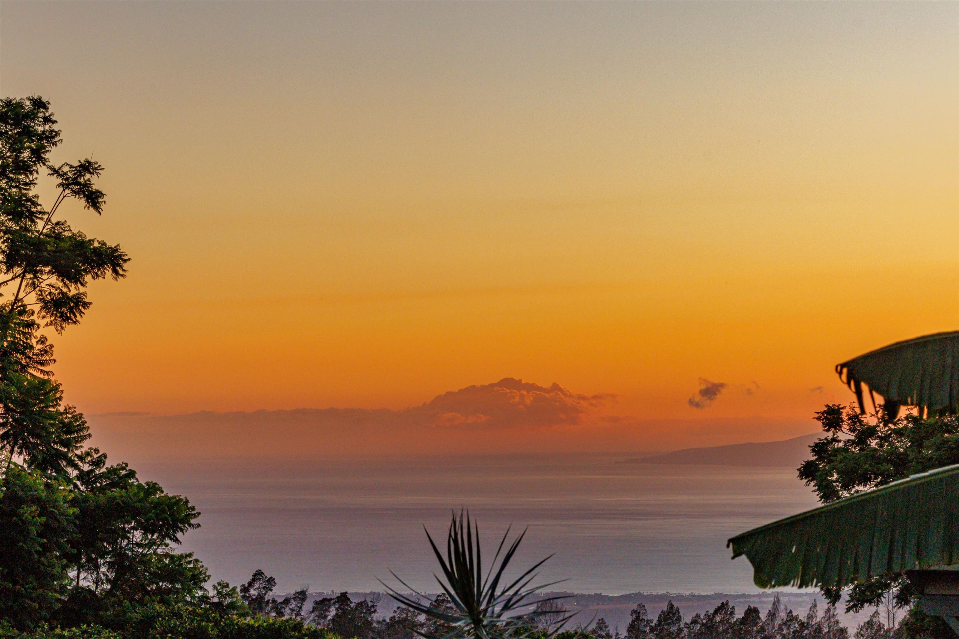 34  Kulalani Cir Kula Orchards, Kula/Ulupalakua/Kanaio home - photo 47 of 49