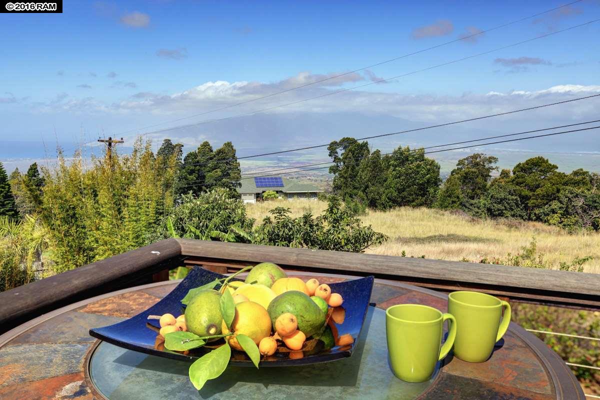 34  Meakoho Pl , Kula/Ulupalakua/Kanaio home - photo 28 of 30